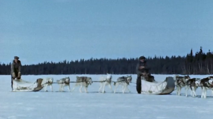 Image représentant la ressource: Chasseurs de caribou
