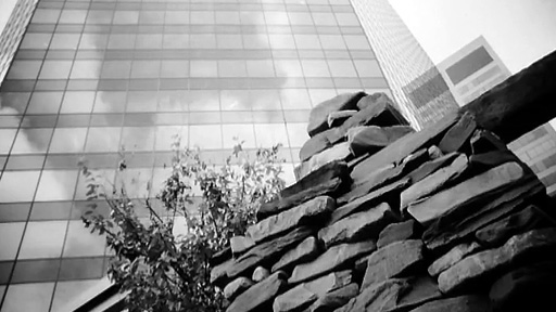 Image représentant la ressource: Vistas - InukShop