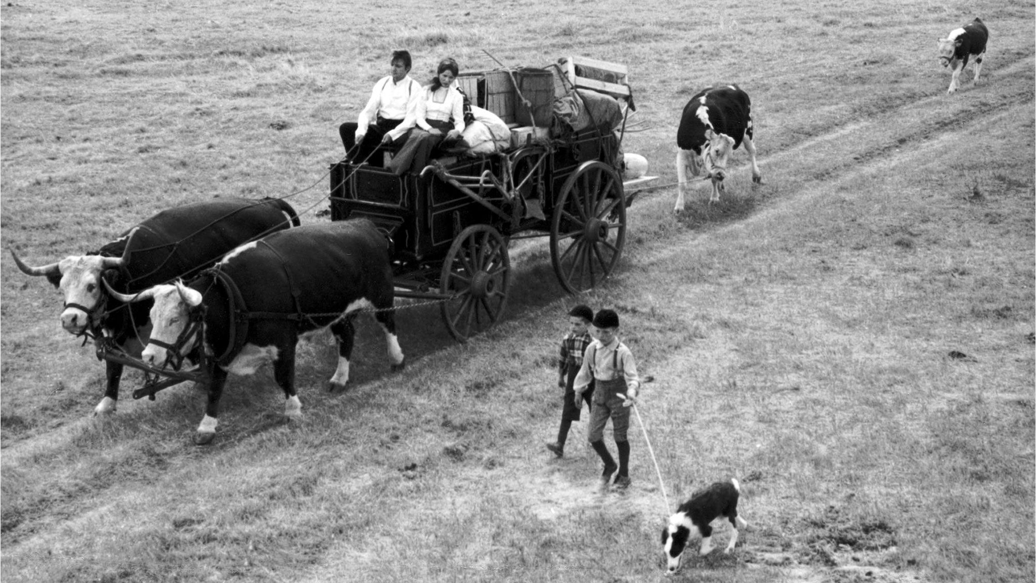Image représentant la ressource: Drylanders