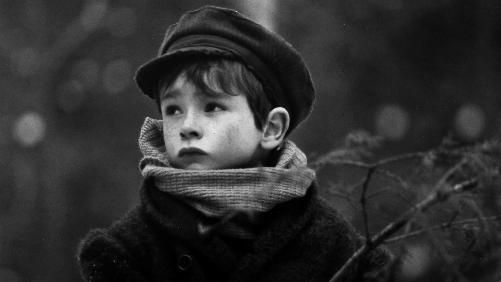Image représentant la ressource: First Winter