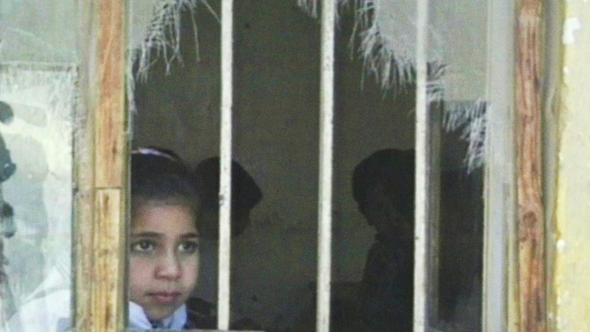 Image représentant la ressource: From Baghdad to Peace Country