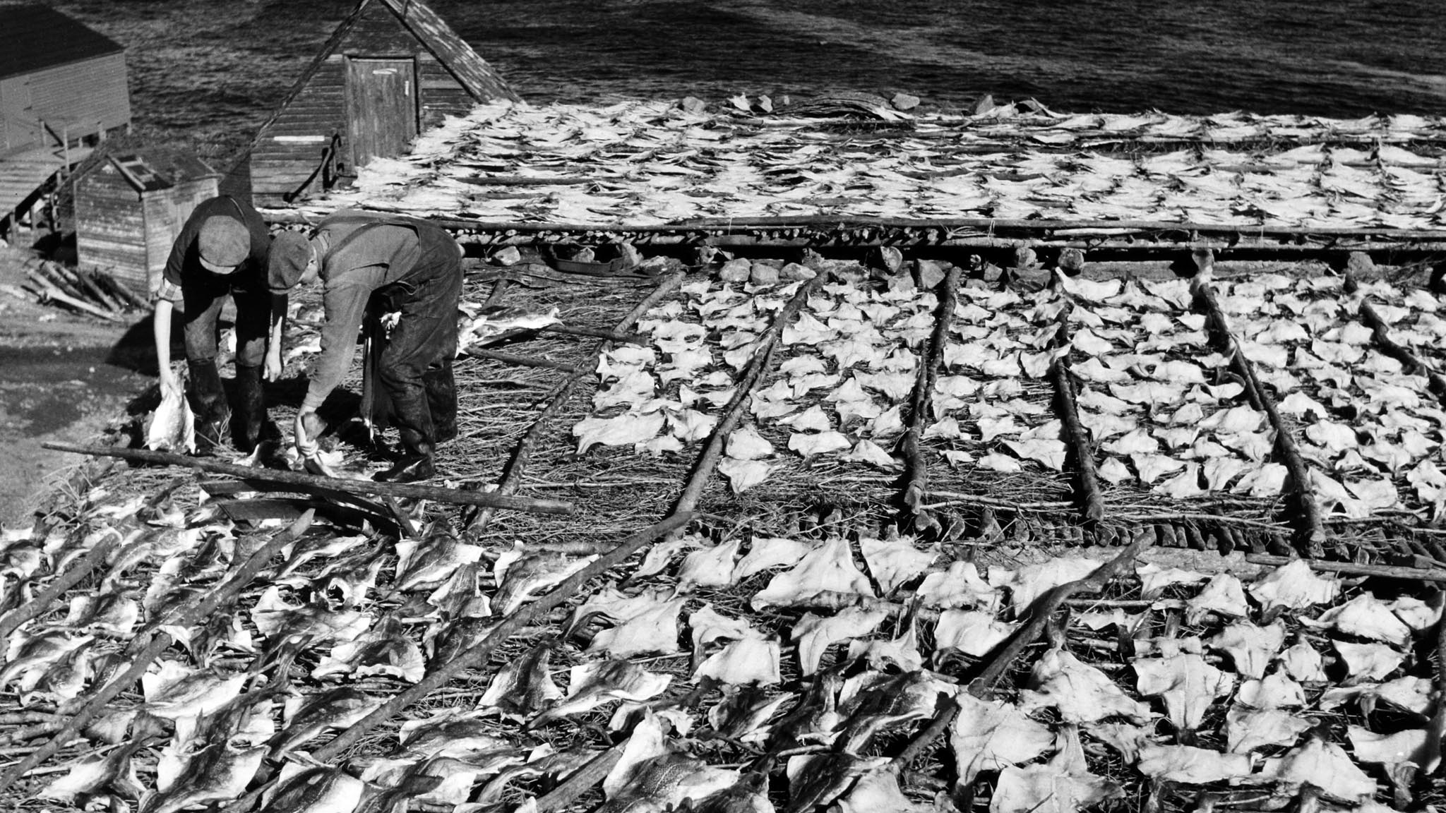 Image représentant la ressource: Pêcheurs de Terre-Neuve