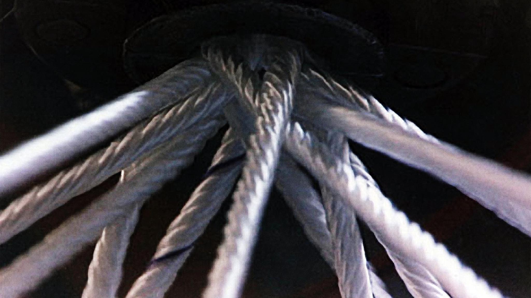 Image représentant la ressource: How Do They Braid Rope?