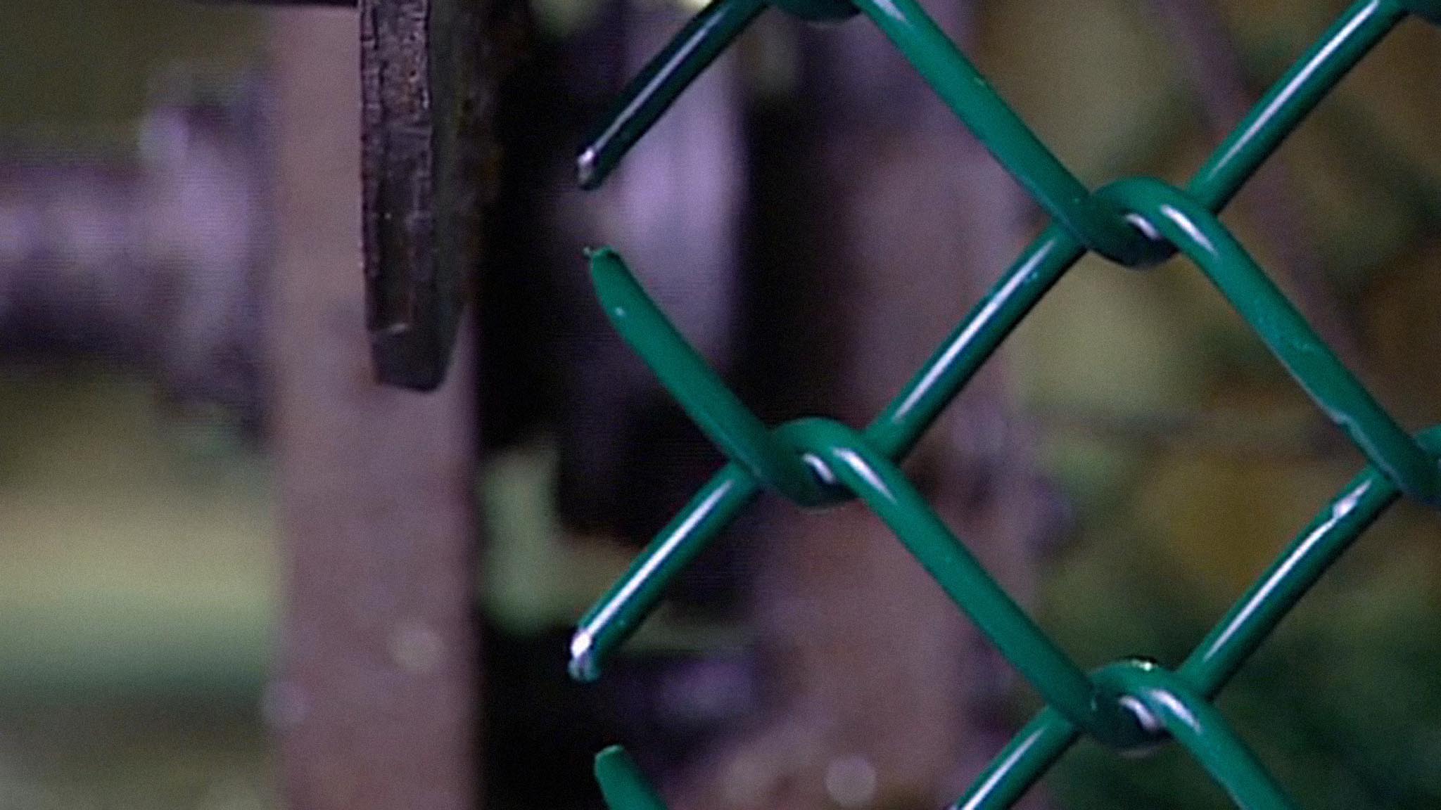Image représentant la ressource: How Do They Knit a Chain-Link Fence?