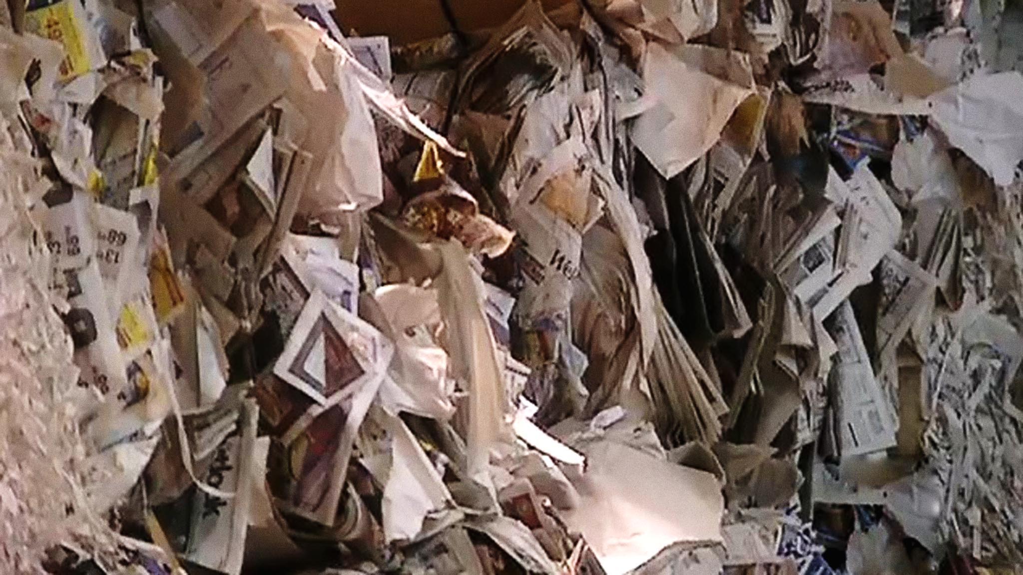 Image représentant la ressource: How Do They Recycle Paper?