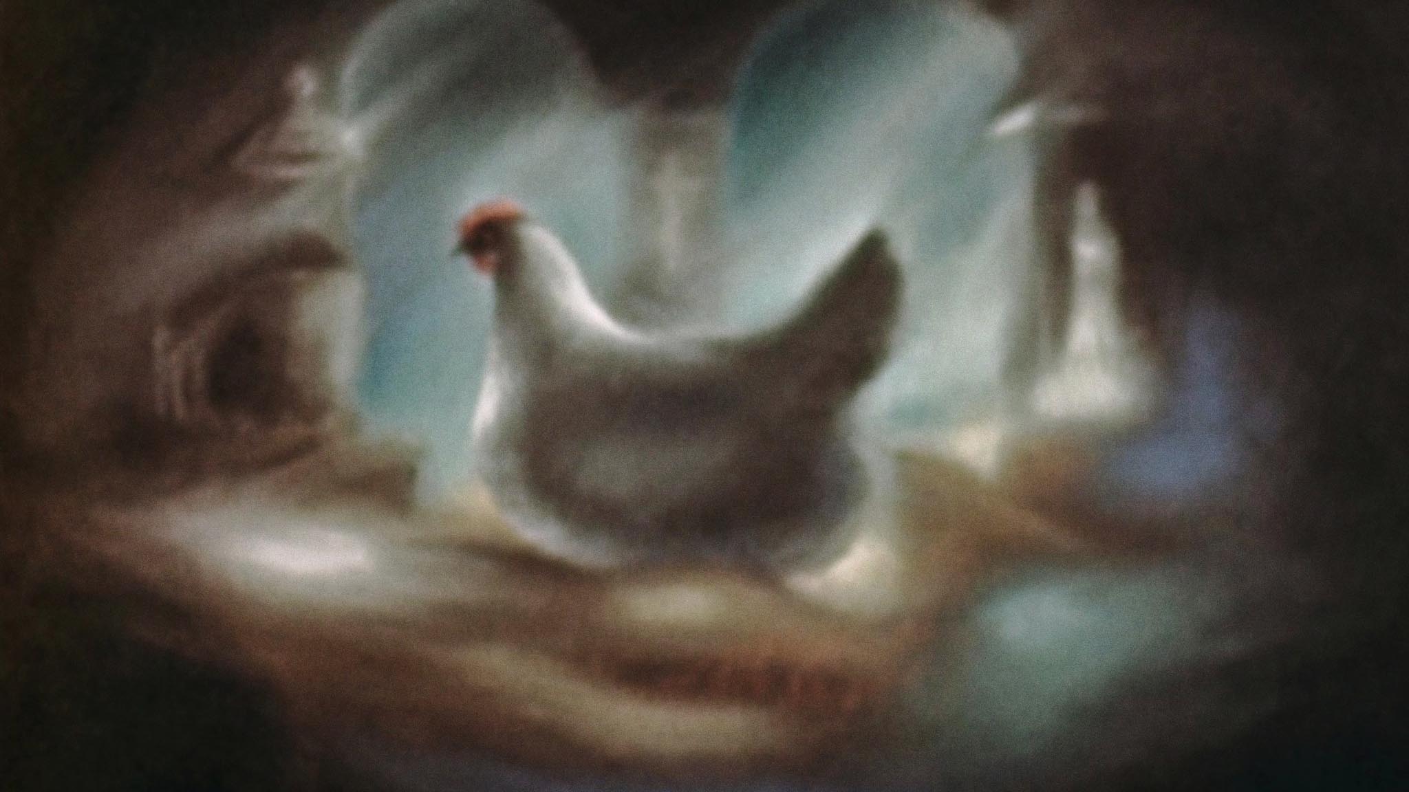 Image représentant la ressource: La poulette grise