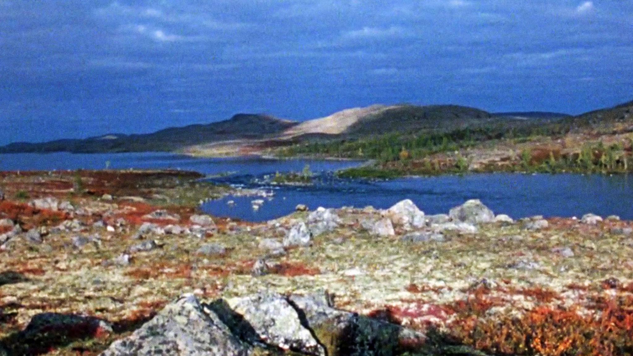 Image représentant la ressource: Le pays de la terre sans arbre ou le Mouchouânipi