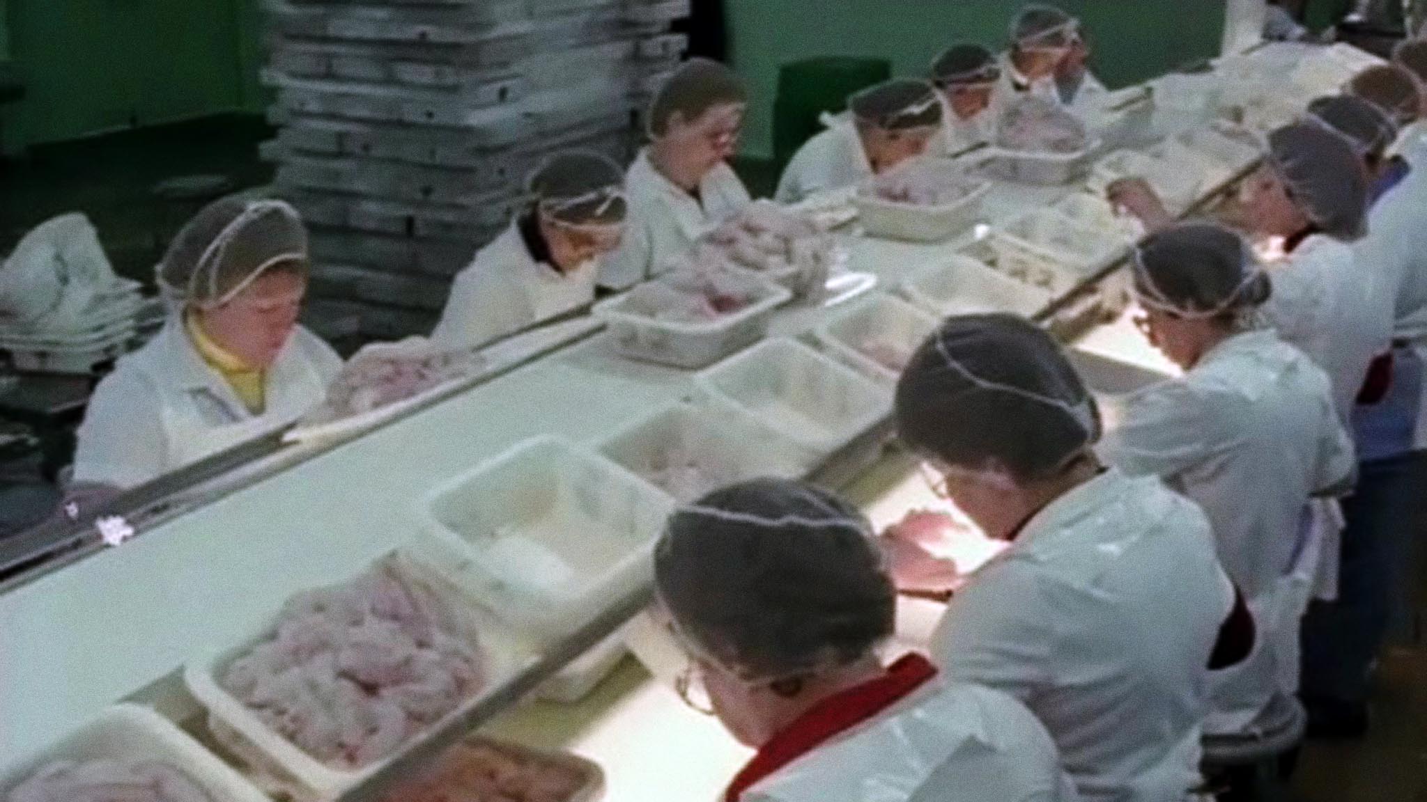 Image représentant la ressource: Les Femmes aux filets