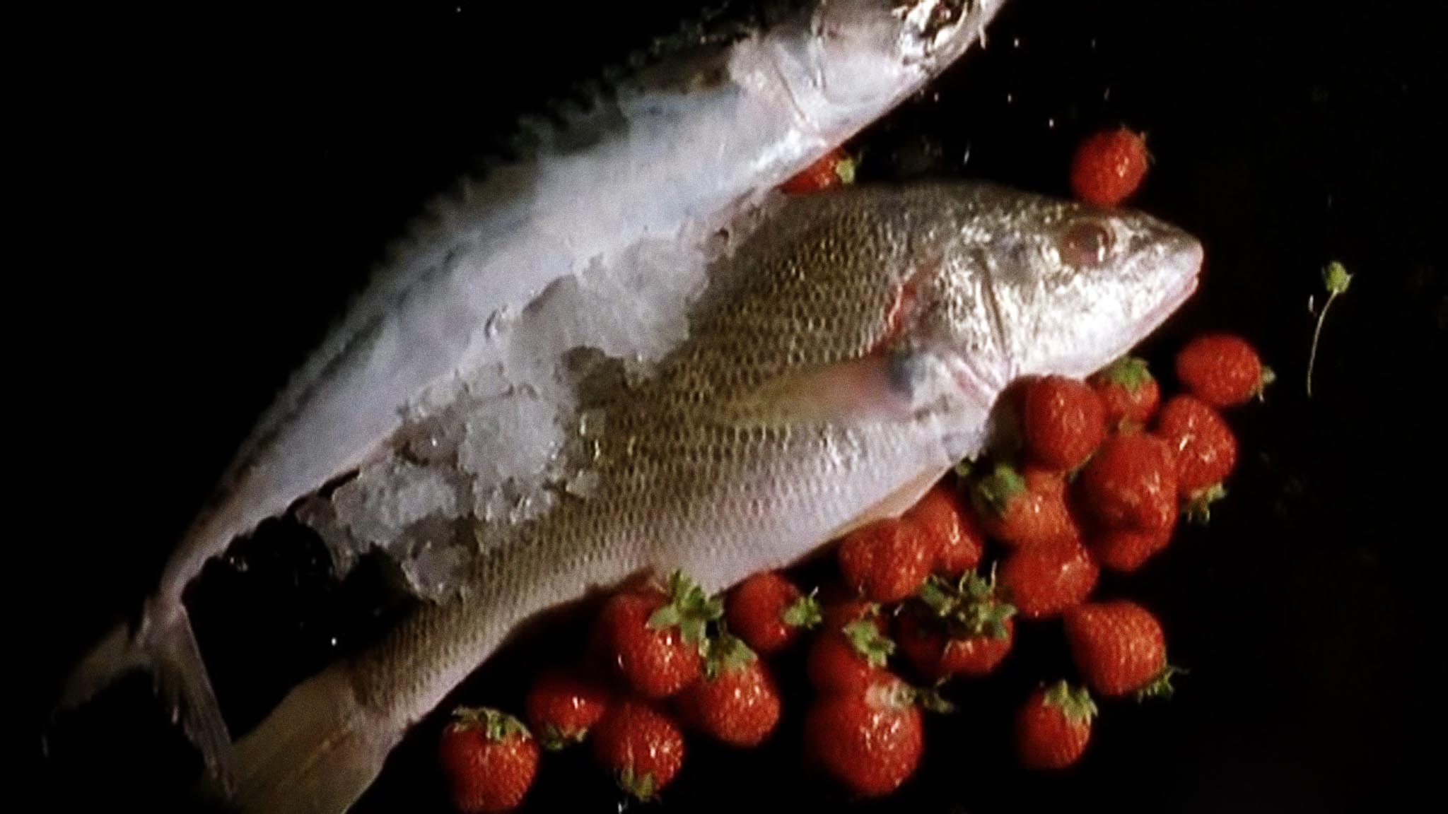 Image représentant la ressource: Main basse sur les gènes - ou les aliments mutants