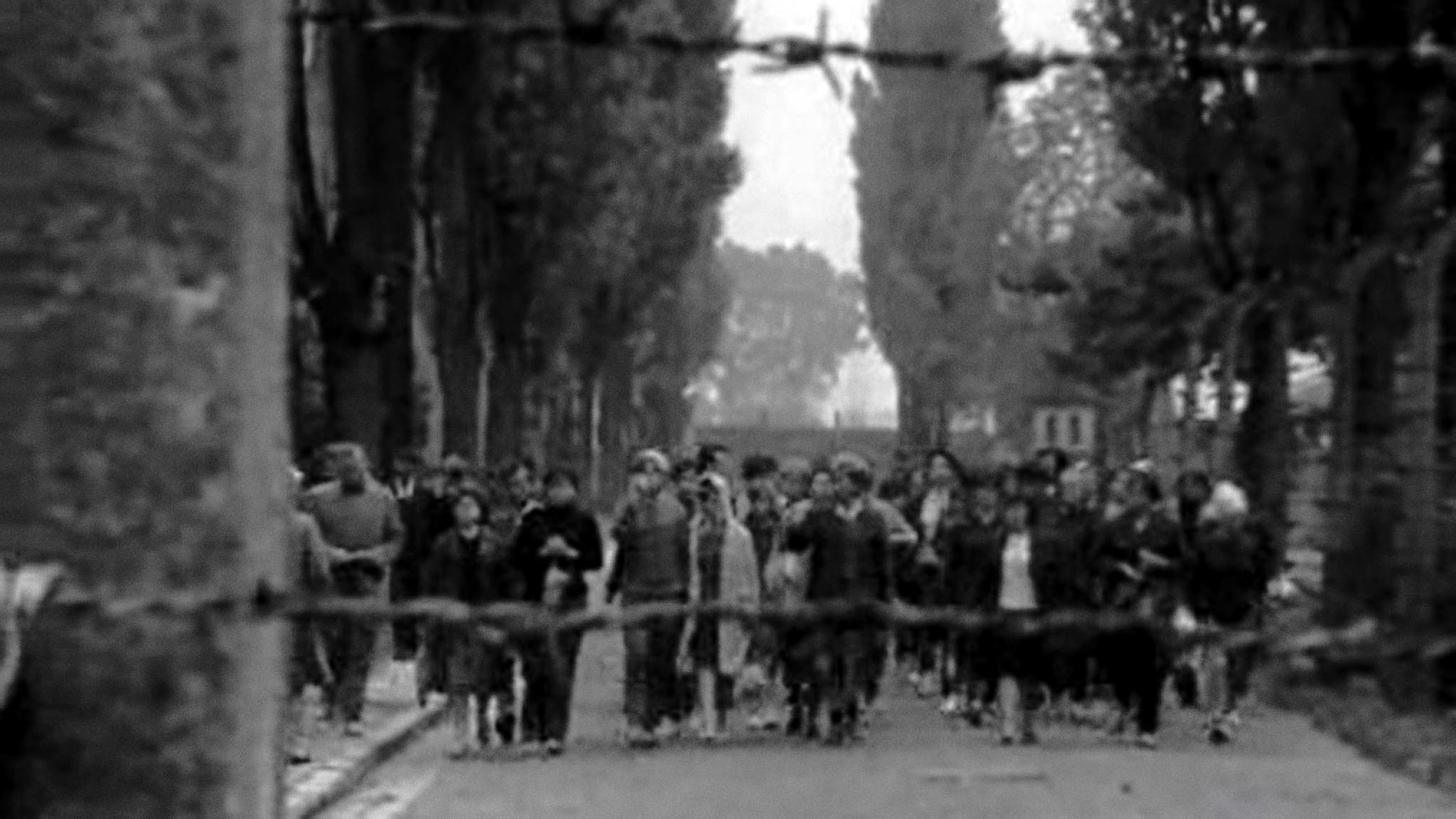 Image représentant la ressource: Pour mémoire
