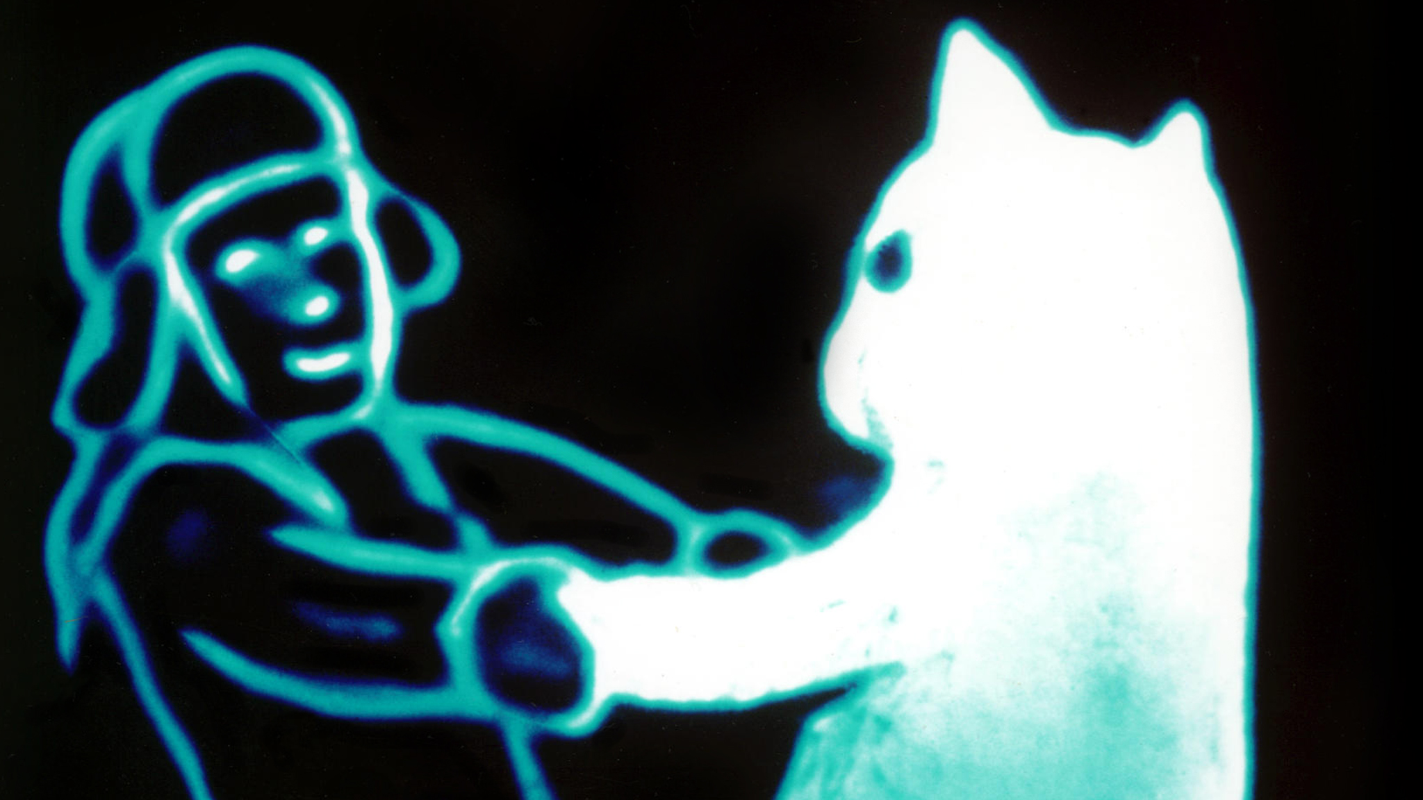 Image représentant la ressource: Le chat de neige