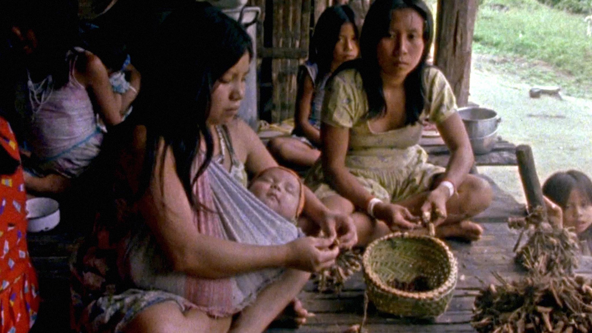 Image représentant la ressource: Vivre en Amazonie