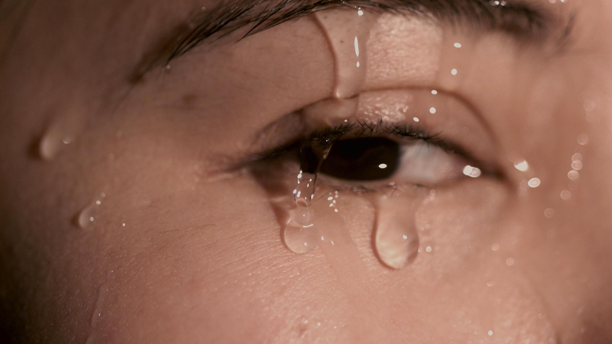 Image représentant la ressource: L'eau, c'est la vie