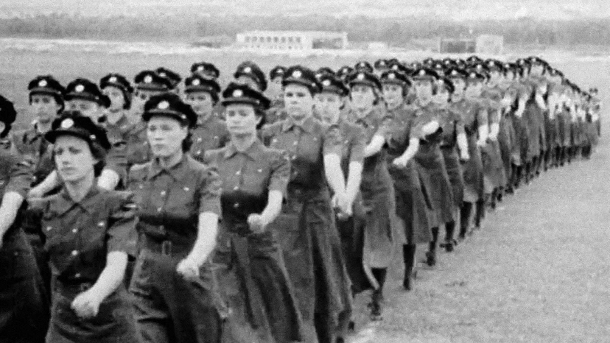 Image représentant la ressource: Nos femmes ailées