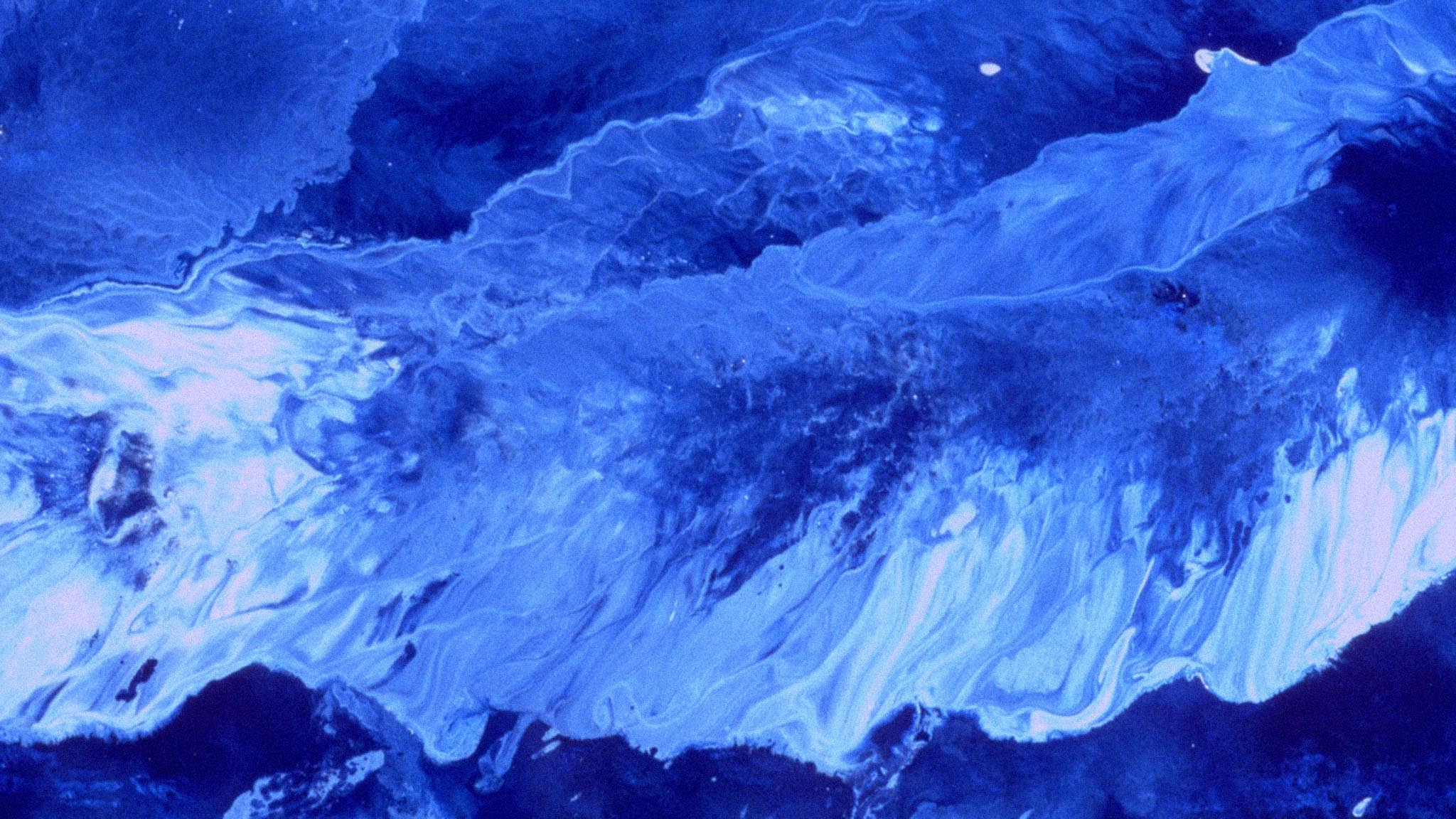 Image représentant la ressource: Blue Like a Gunshot