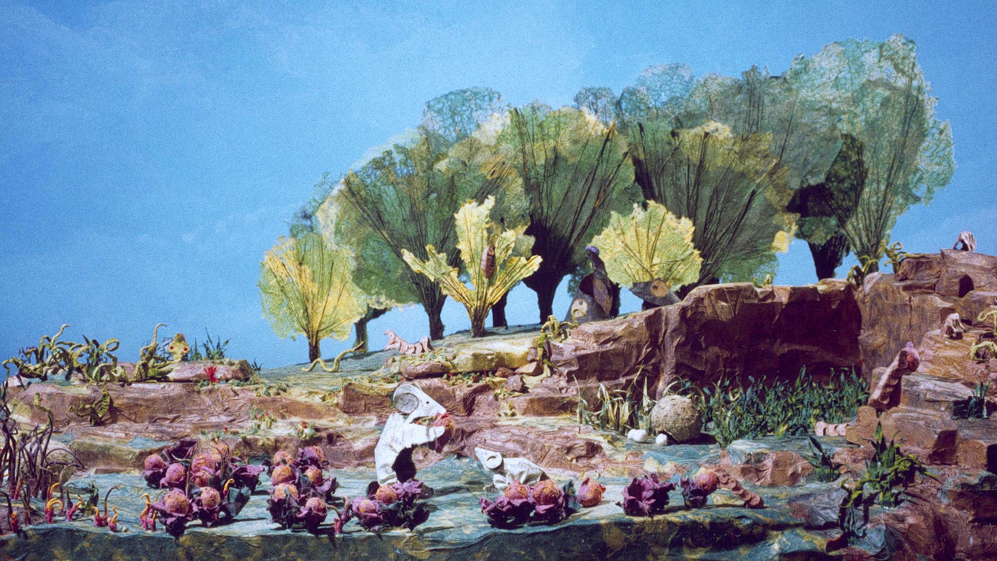 Image représentant la ressource: Le jardin d'Écos