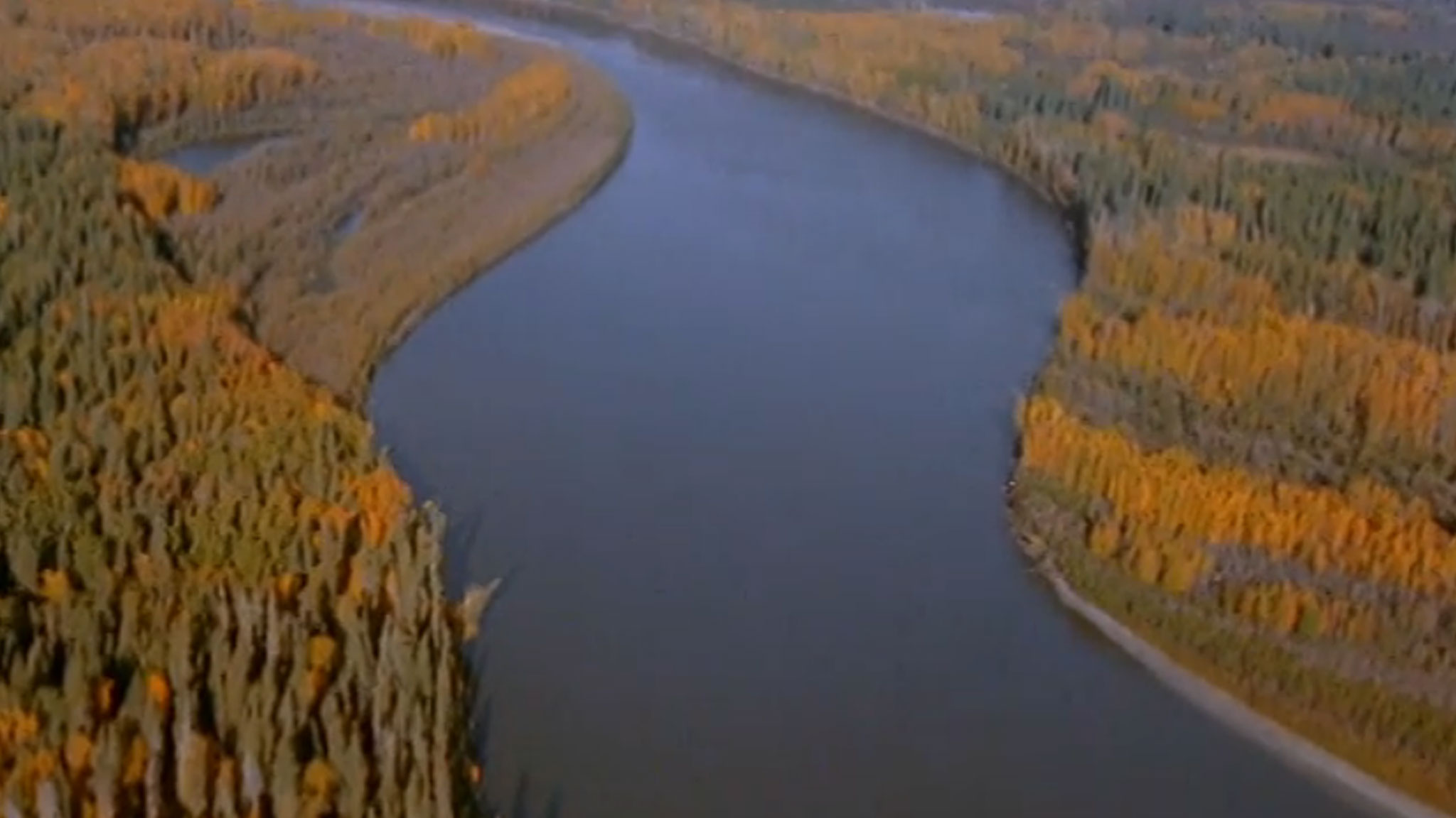 Image représentant la ressource: Footprints in the Delta