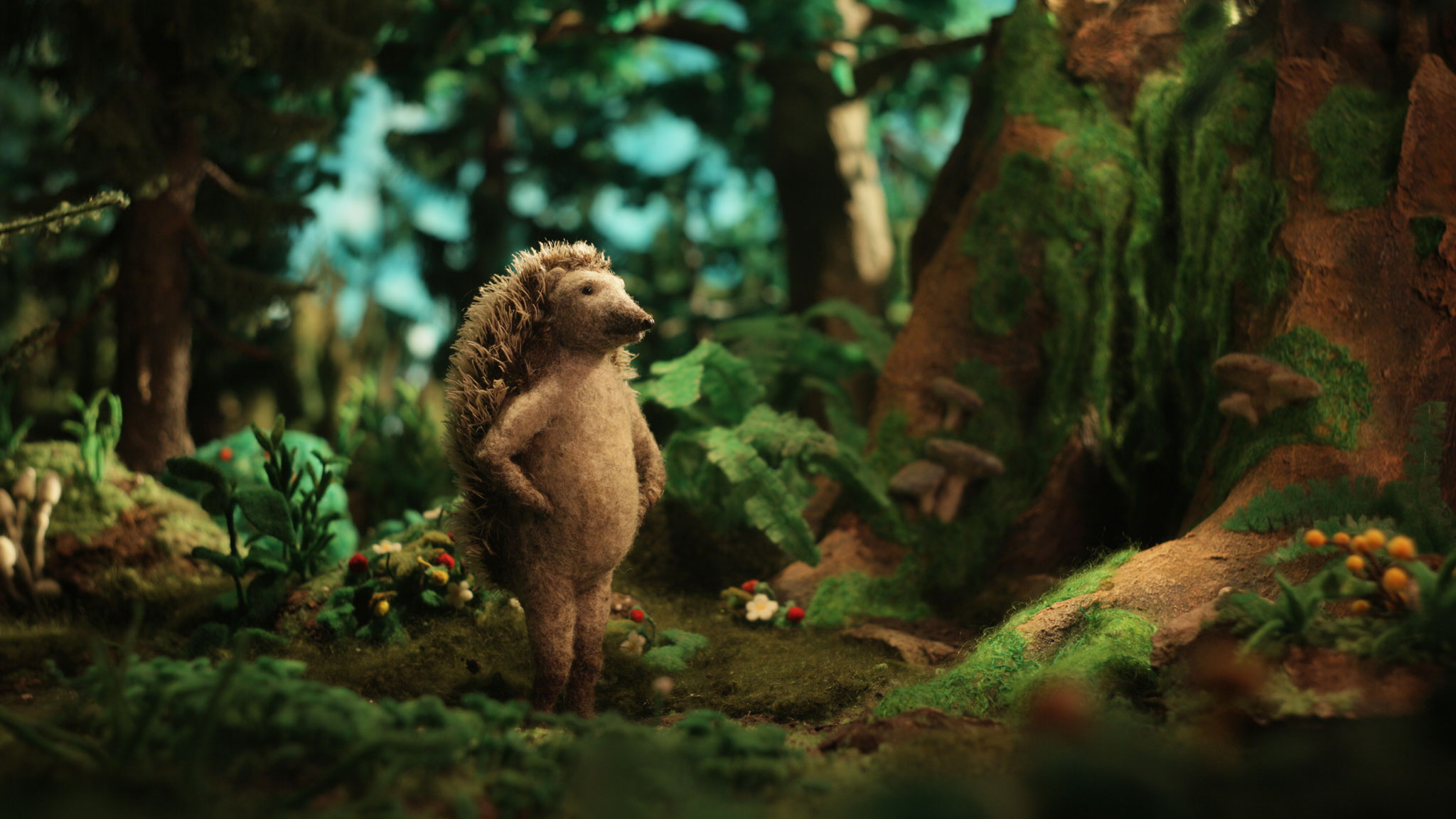 Image représentant la ressource: Hedgehog's Home