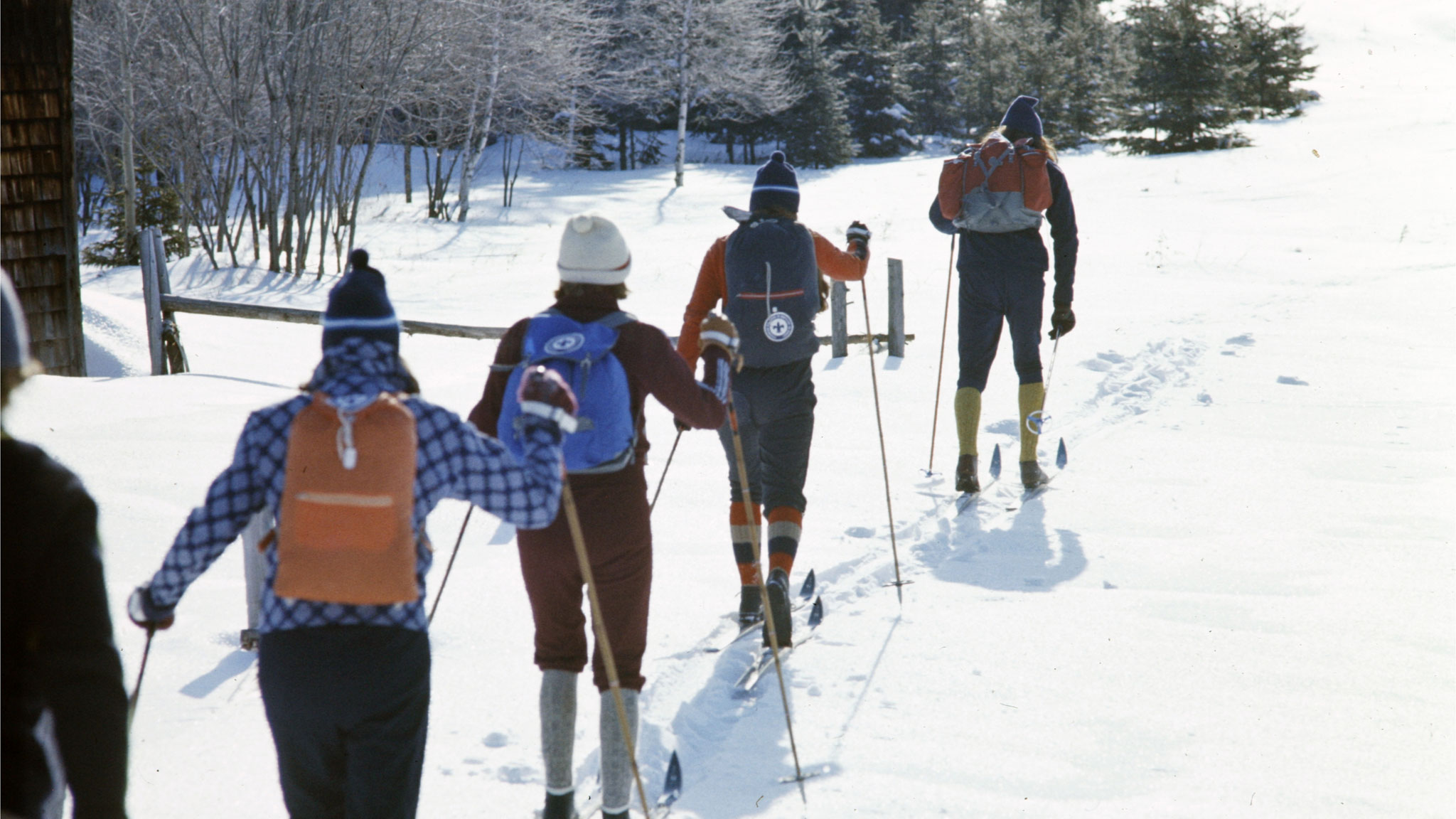 Image représentant la ressource: Demain l'hiver
