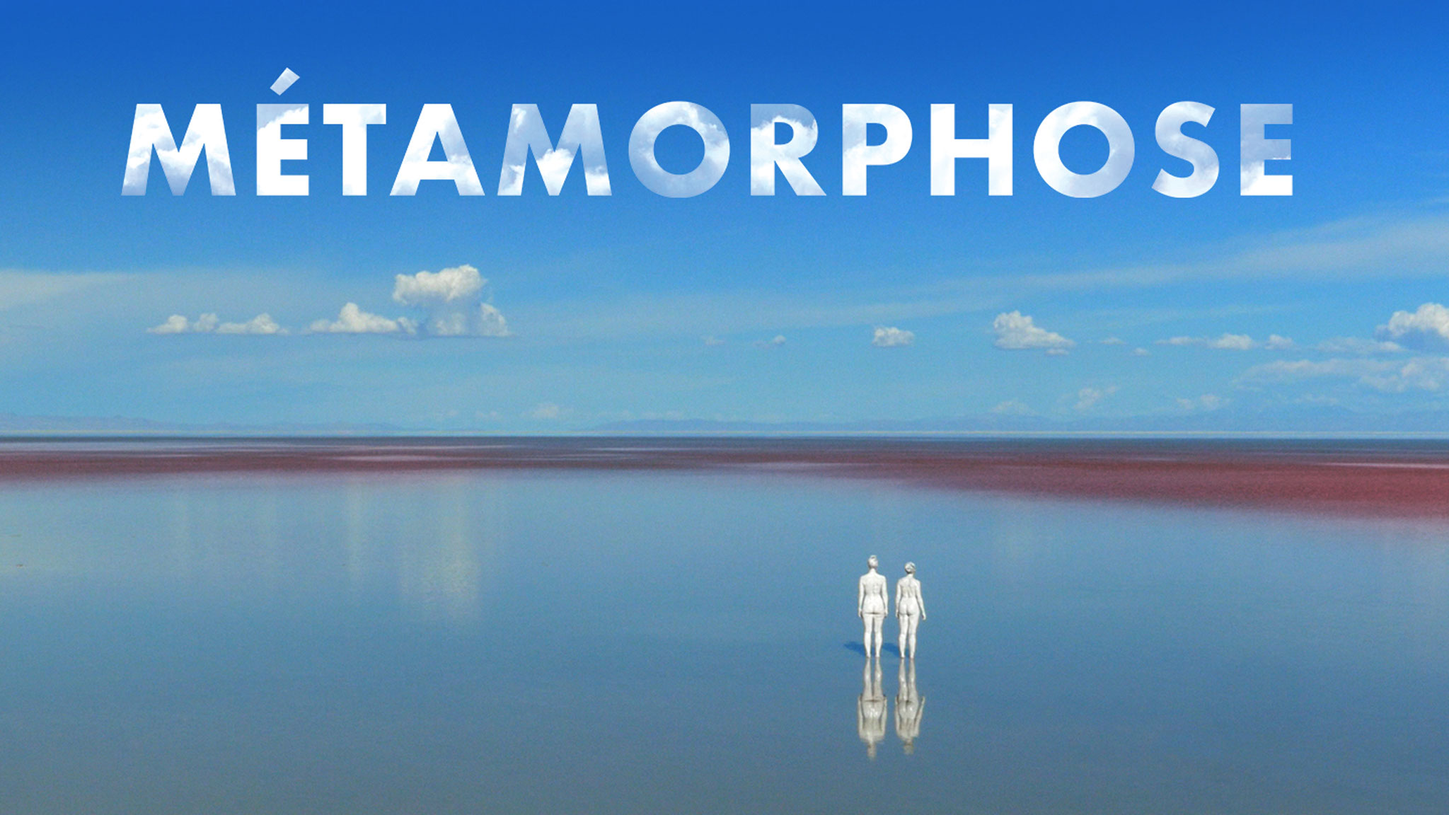Image représentant la ressource: Métamorphose