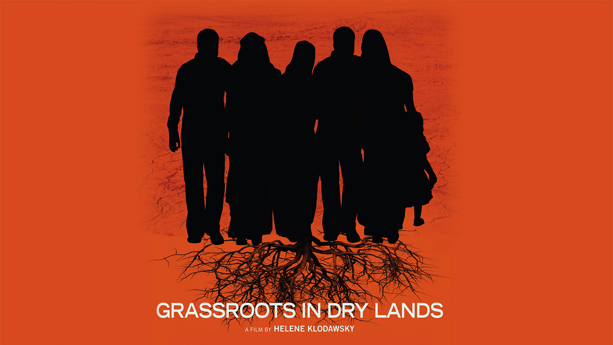 Image représentant la ressource: Grassroots in Dry Lands