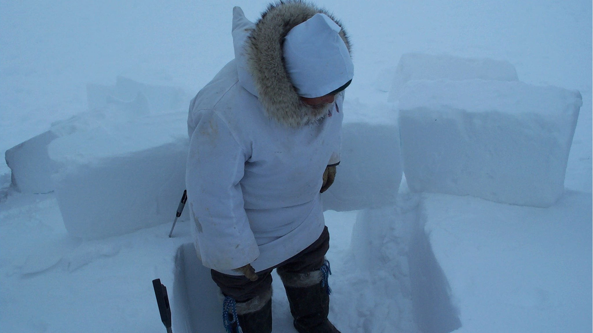Image représentant la ressource: Inuuvunga - I Am Inuk, I Am Alive