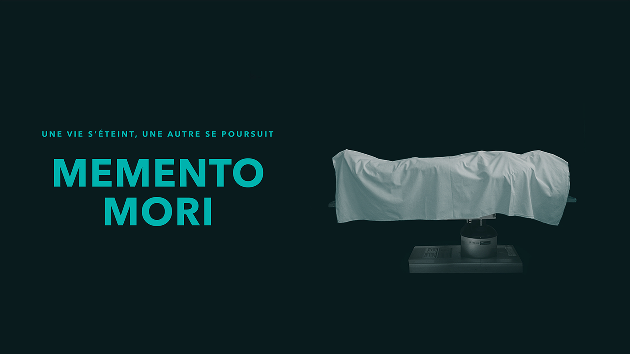 Image représentant la ressource: Memento mori