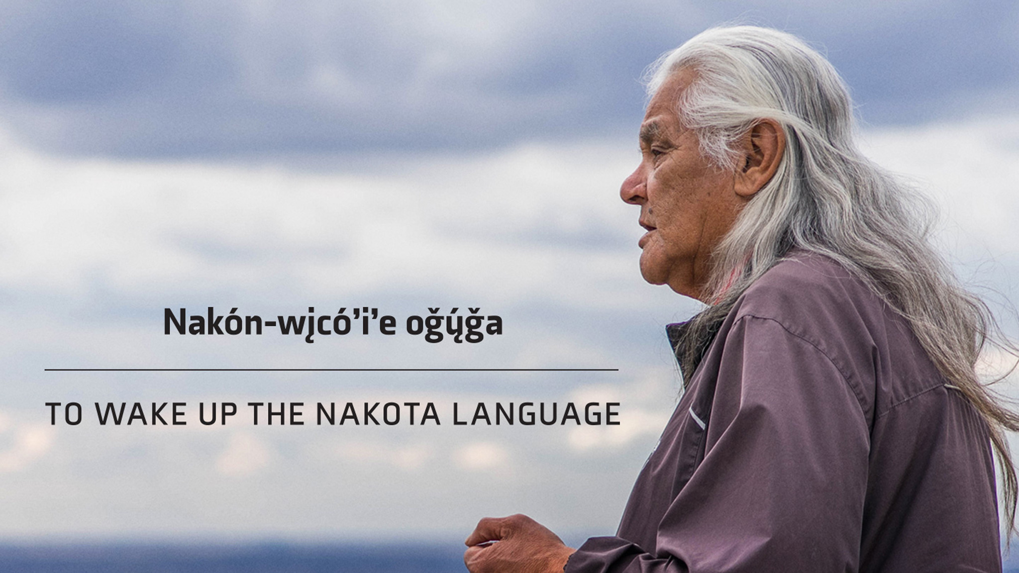 Image représentant la ressource: To Wake Up the Nakota Language
