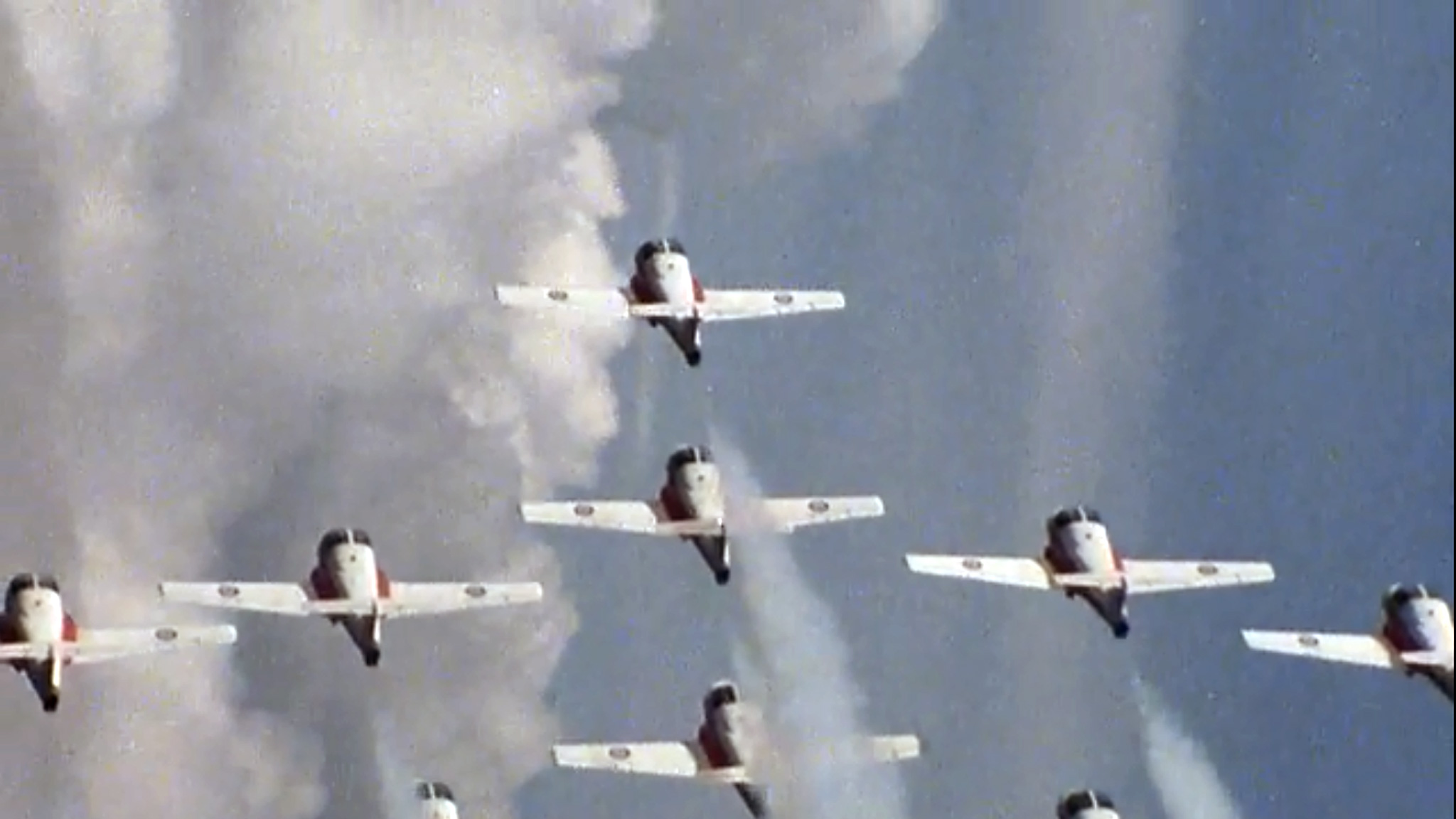 Image représentant la ressource: Les Snowbirds