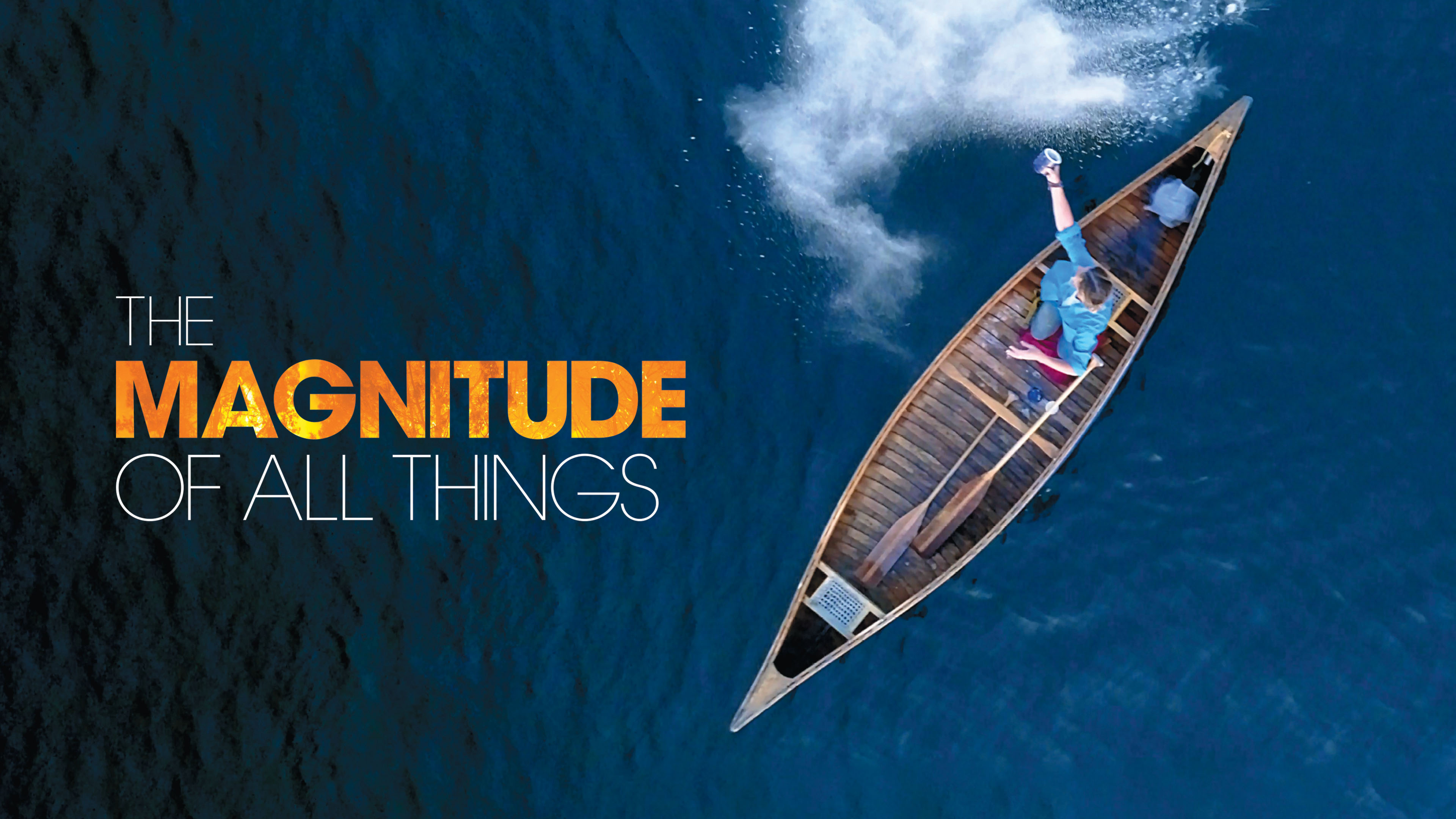 Image représentant la ressource: The Magnitude of All Things