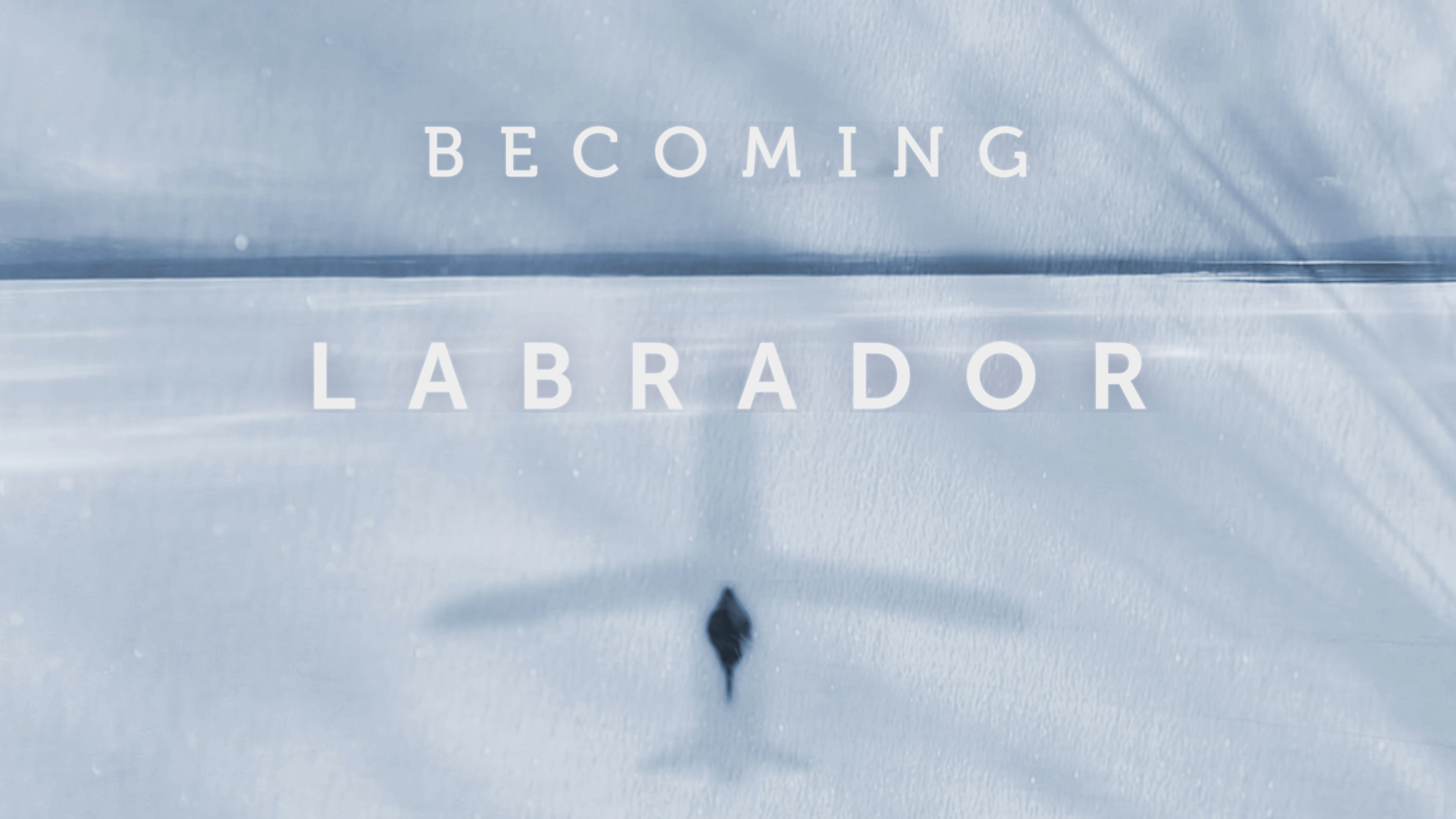 Image représentant la ressource: Becoming Labrador