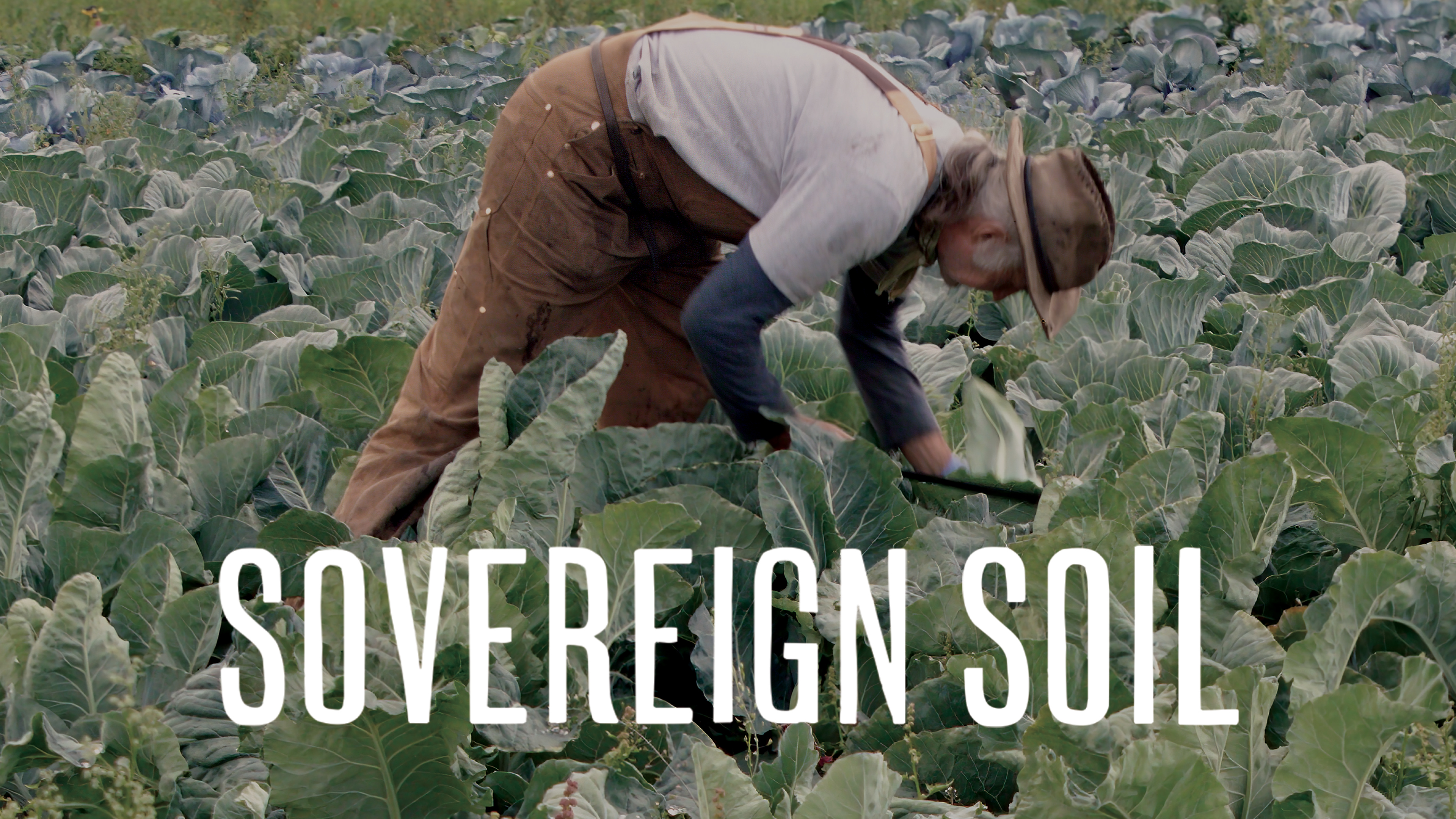 Image représentant la ressource: Sovereign Soil