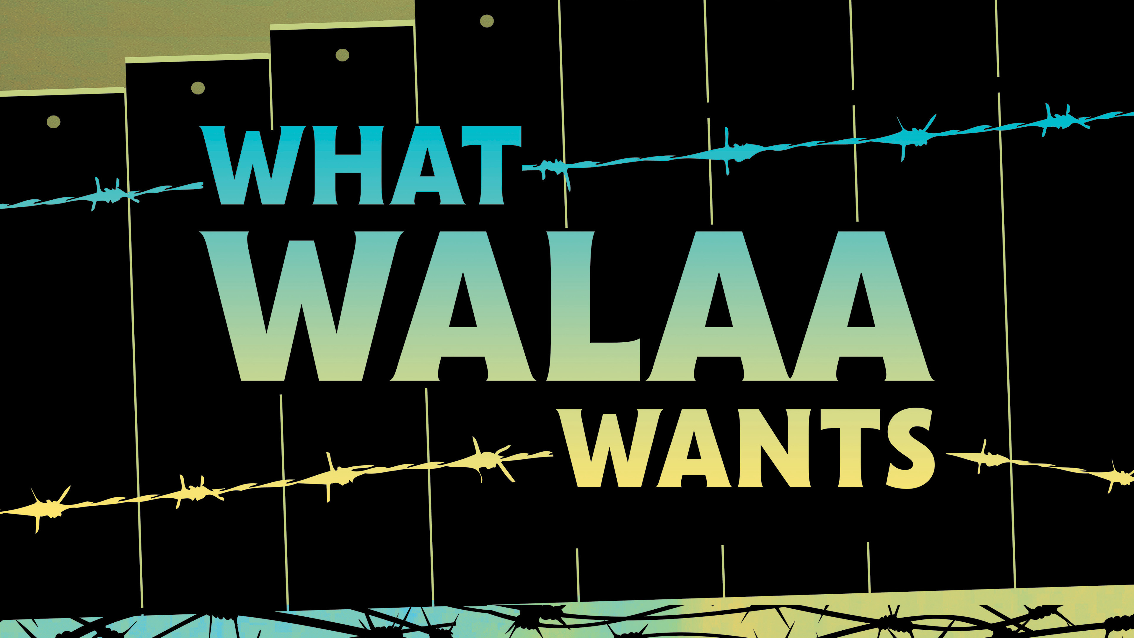Image représentant la ressource: What Walaa Wants