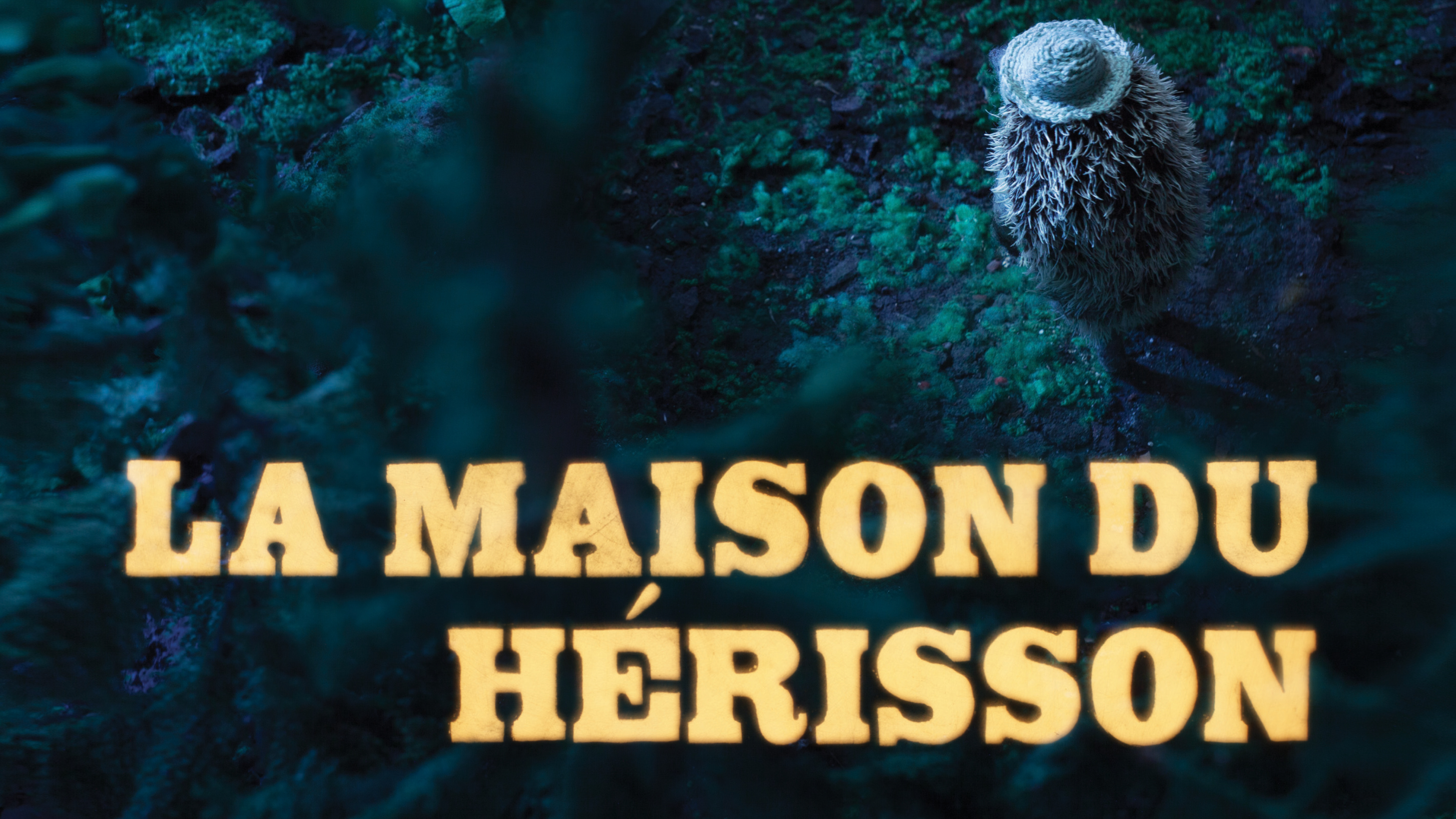 Image représentant la ressource: La maison du hérisson