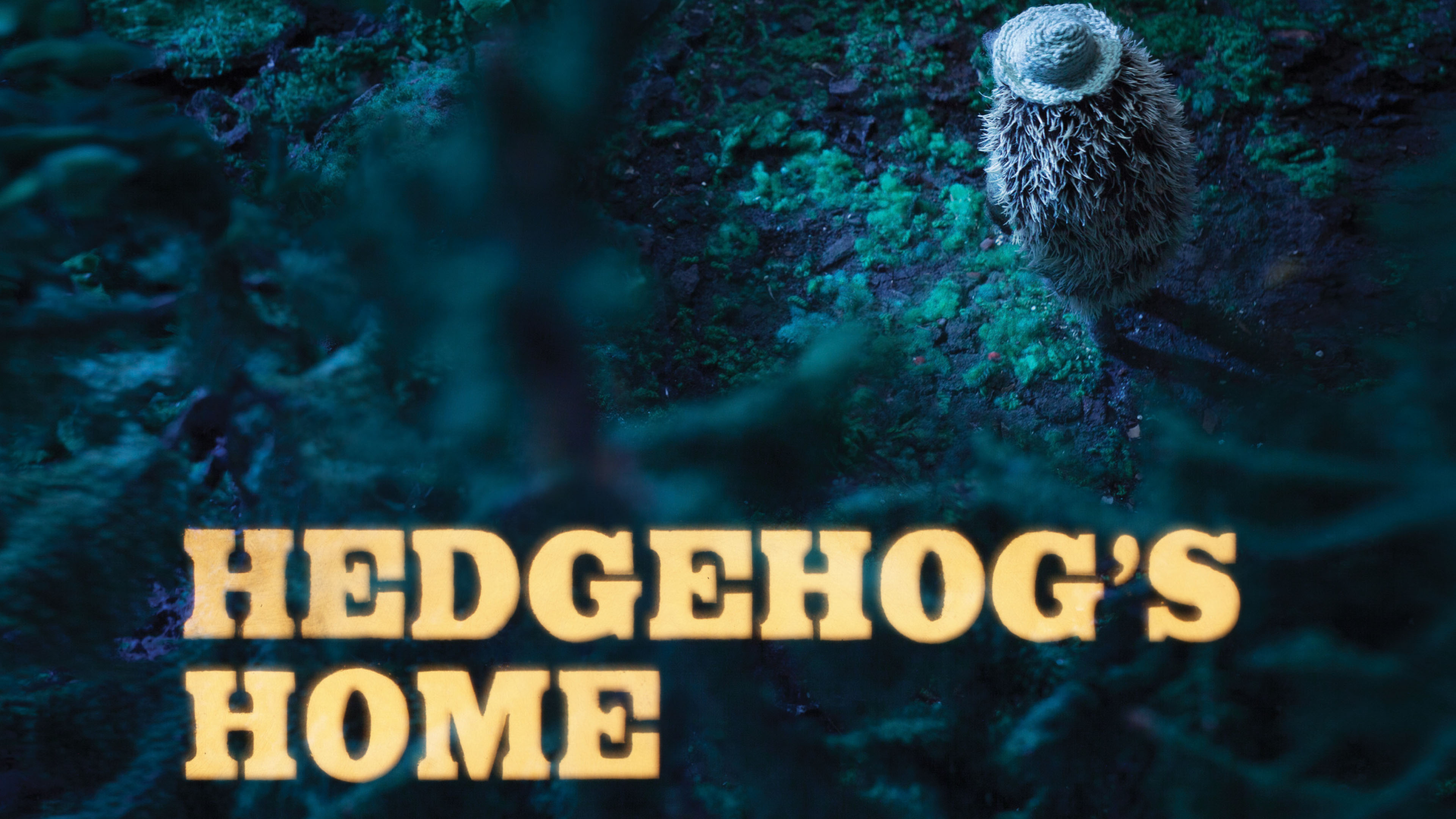Image représentant la ressource: Hedgehog's Home