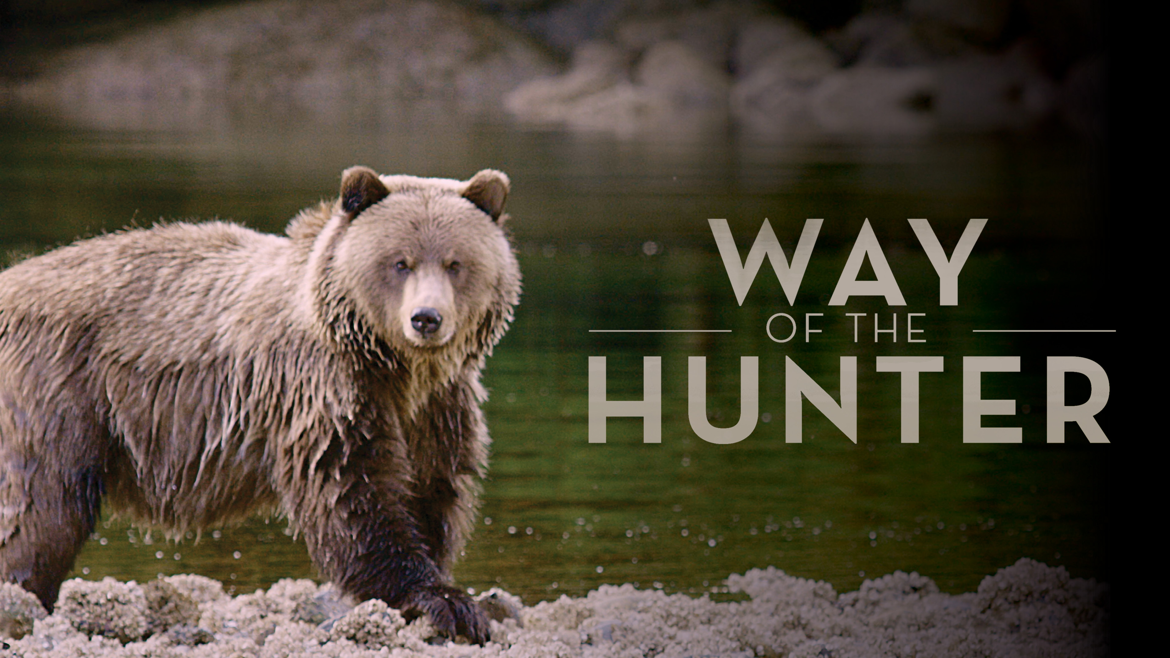 Image représentant la ressource: Way of the Hunter