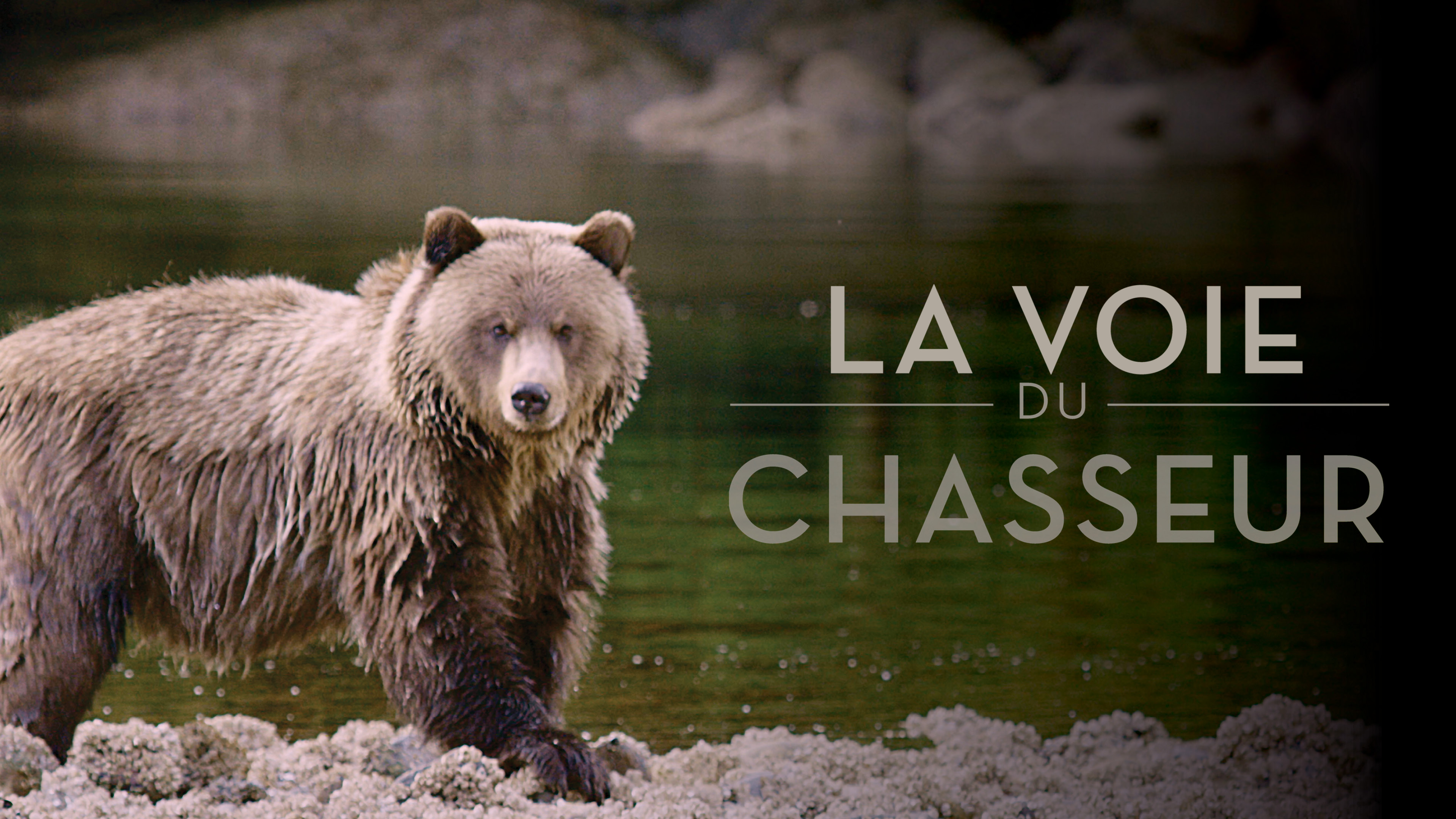 Image représentant la ressource: La voie du chasseur