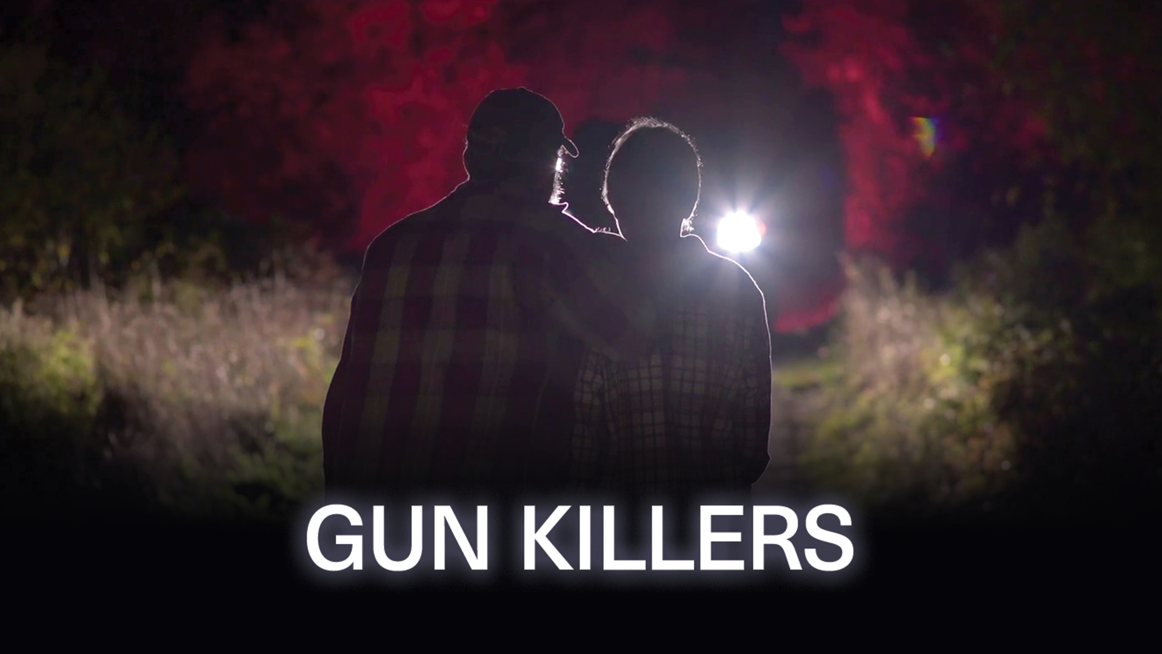 Image représentant la ressource: Gun Killers