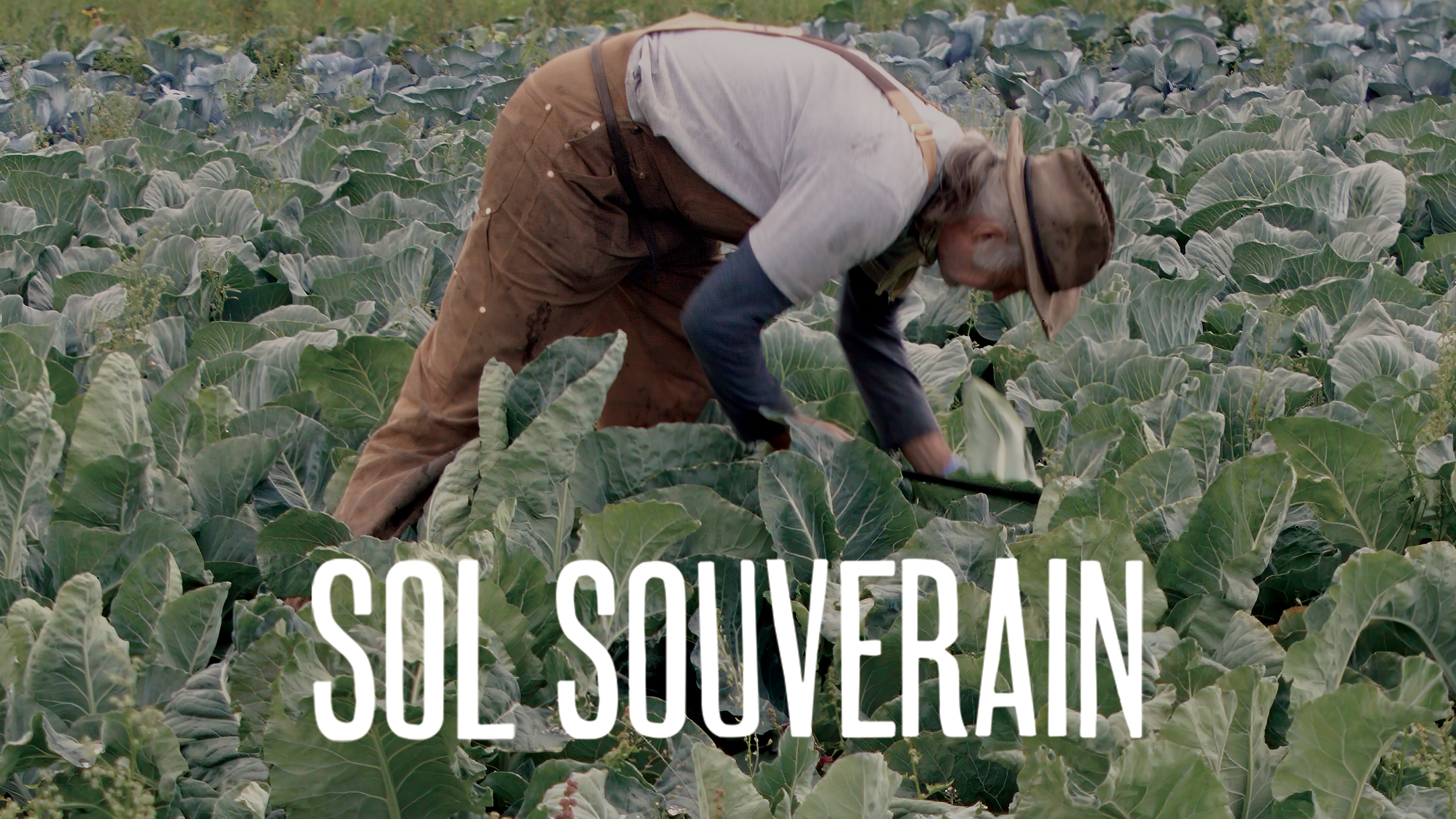 Image représentant la ressource: Sol souverain