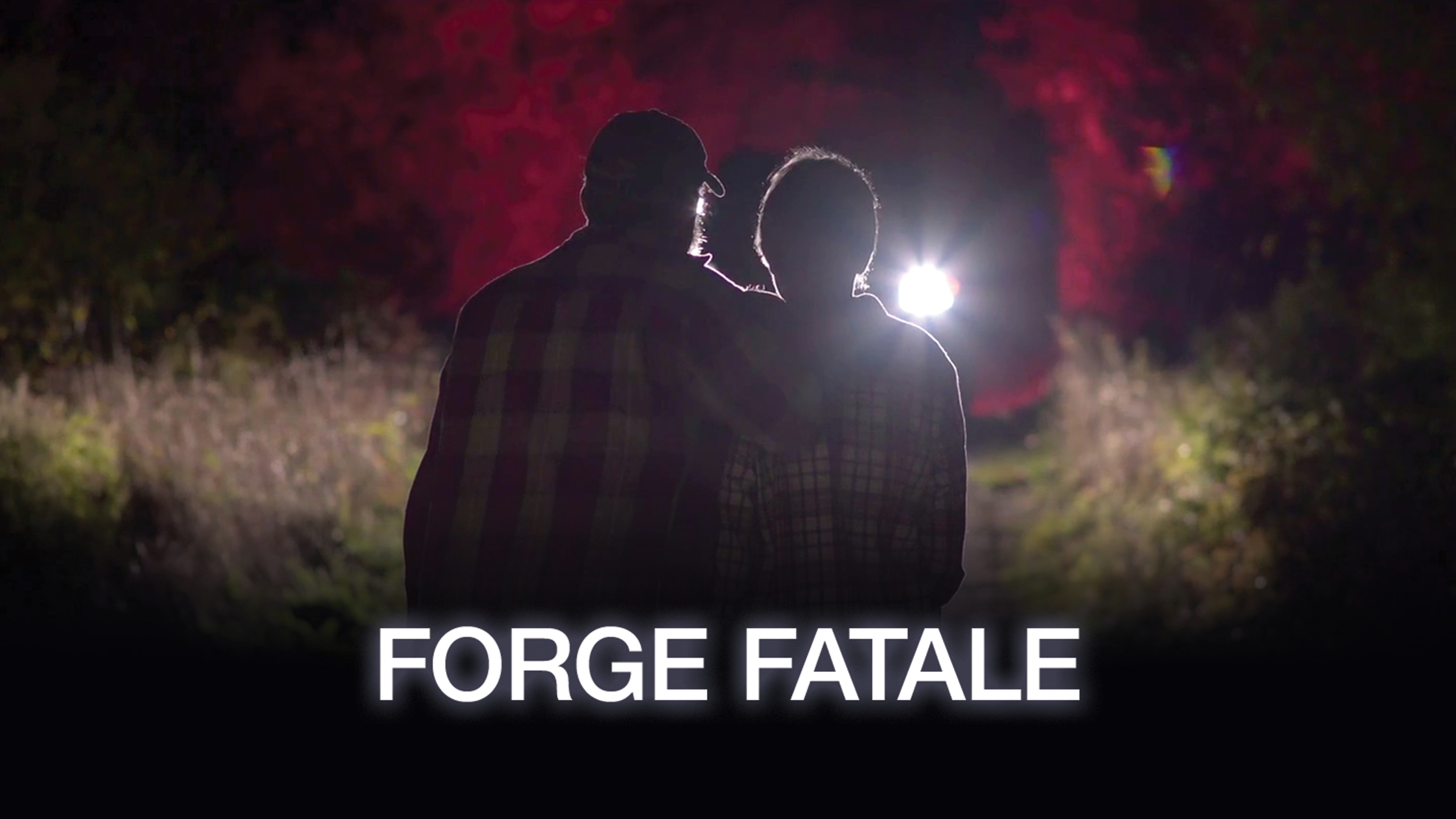Image représentant la ressource: Forge fatale