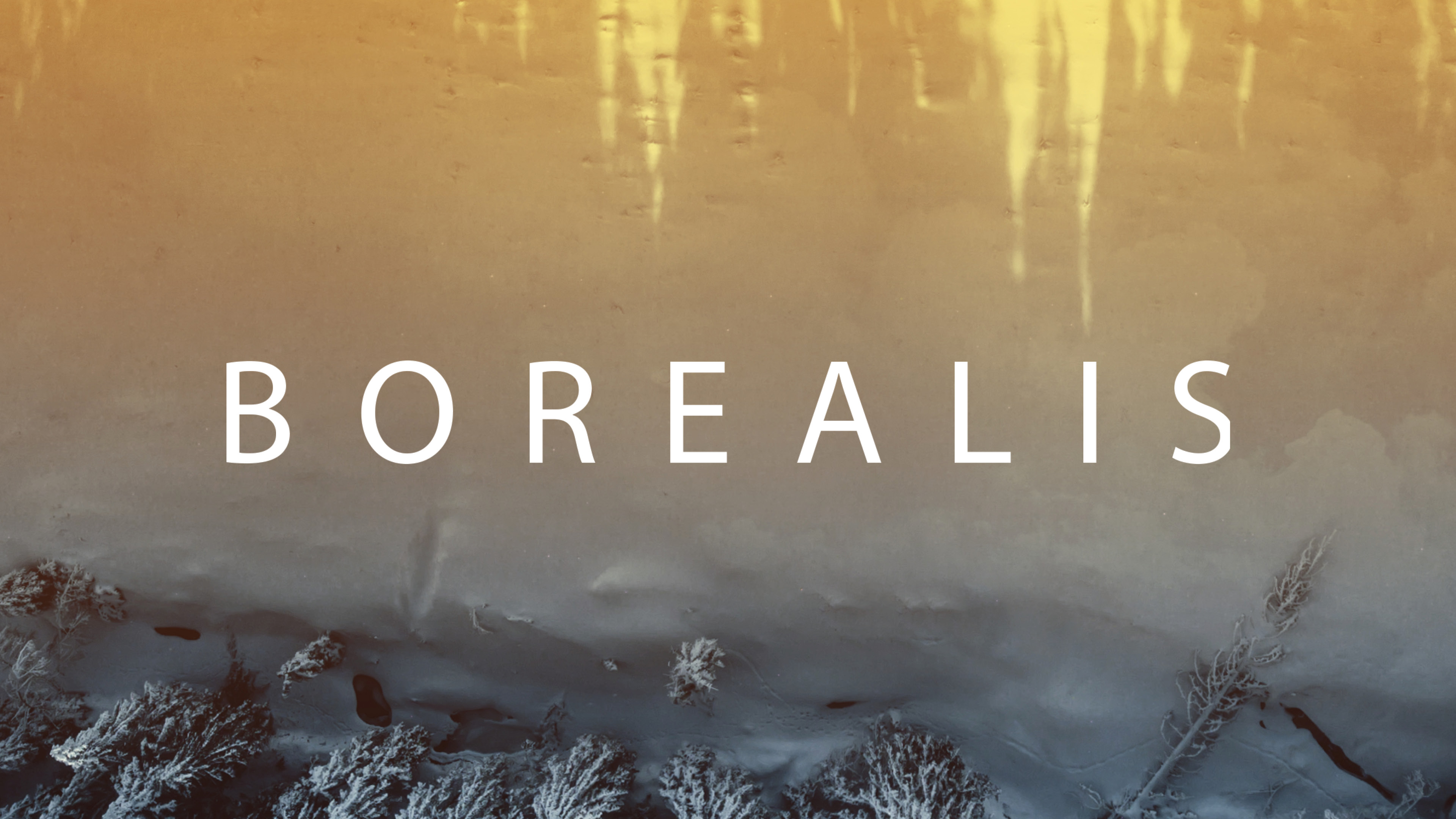 Image représentant la ressource: Borealis