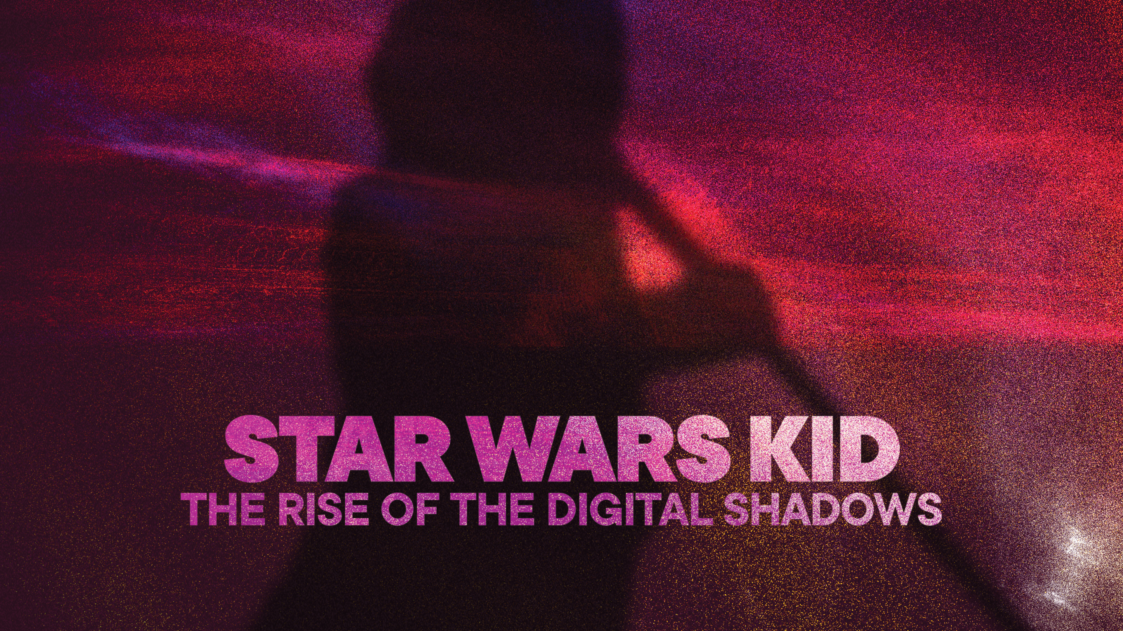 Image représentant la ressource: Star Wars Kid : The Rise of the Digital Shadows