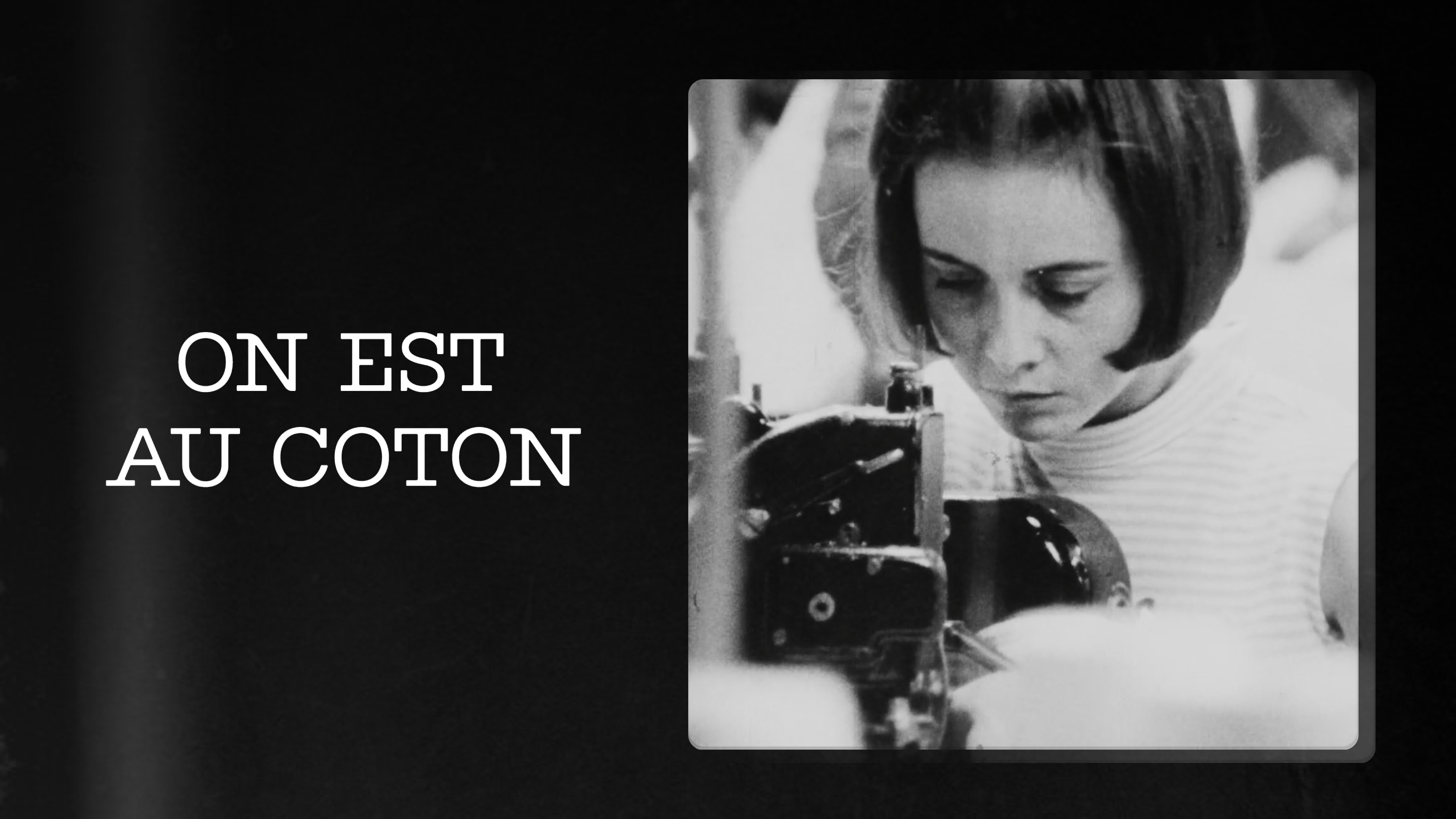 Image représentant la ressource: On est au coton (non-censurée)