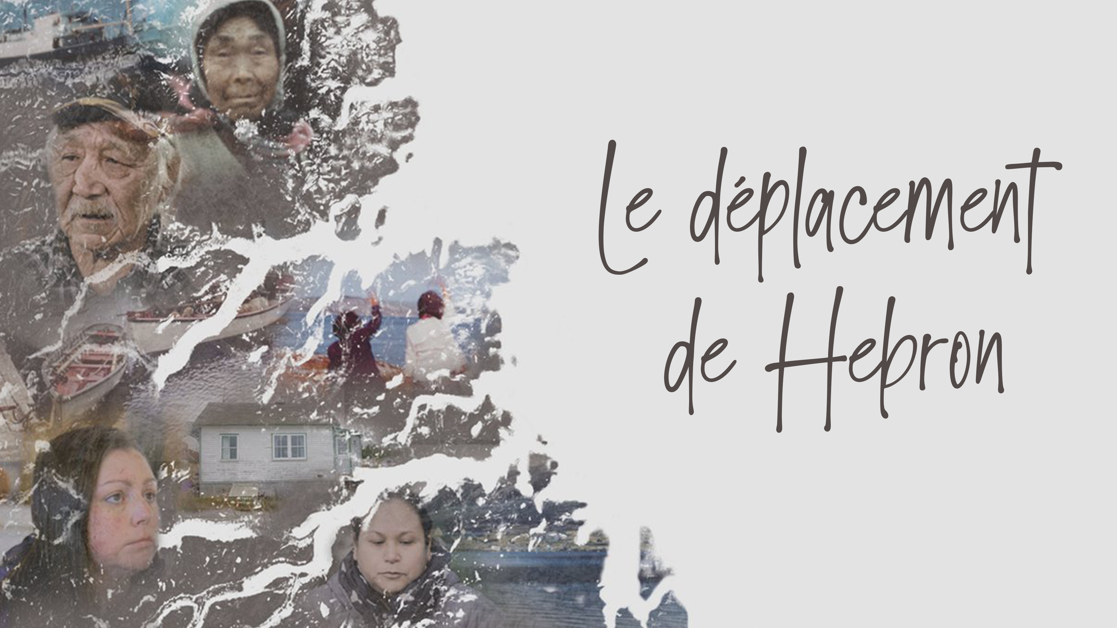 Image représentant la ressource: Le déplacement de Hebron