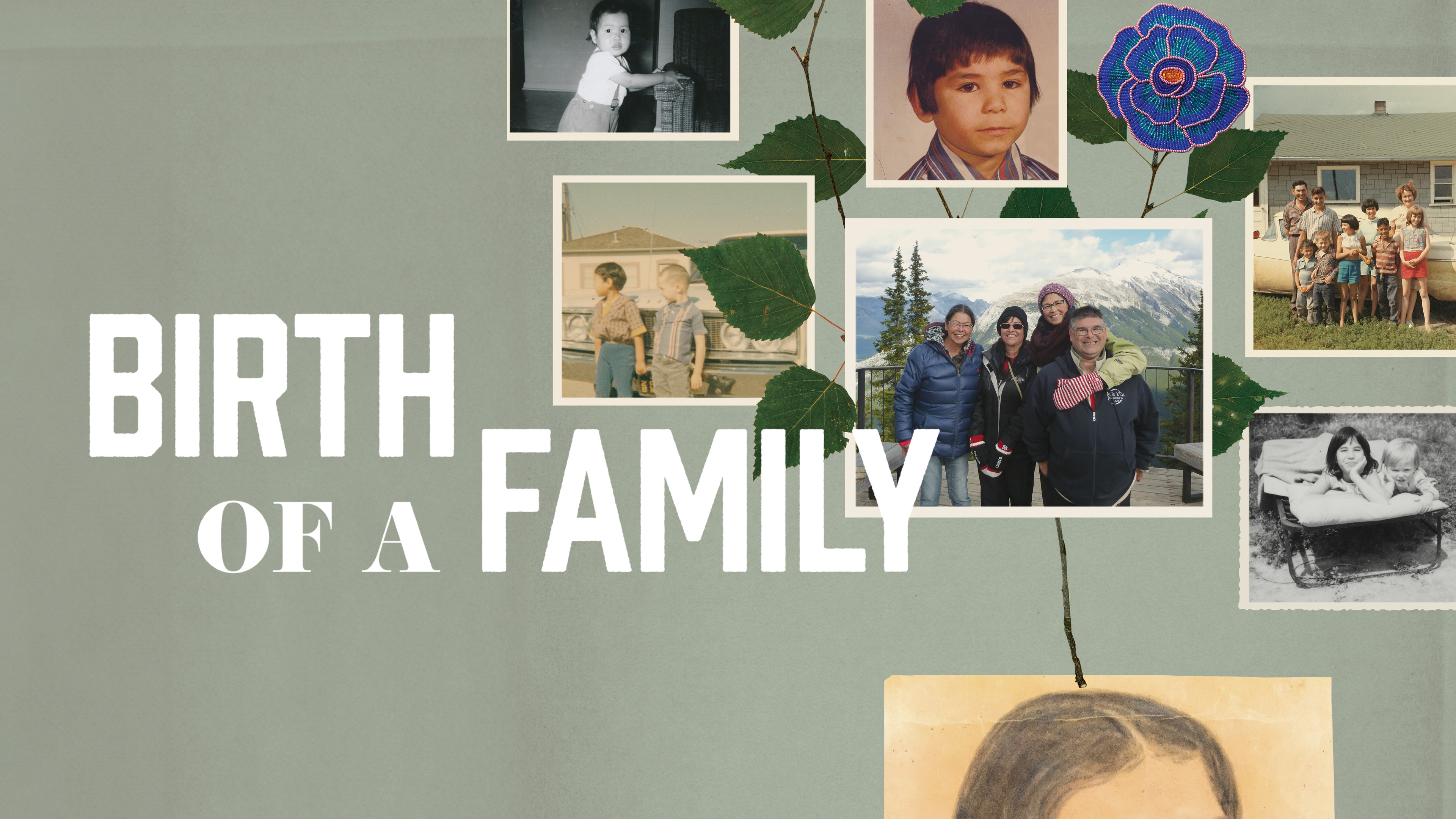 Image représentant la ressource: Birth of a Family