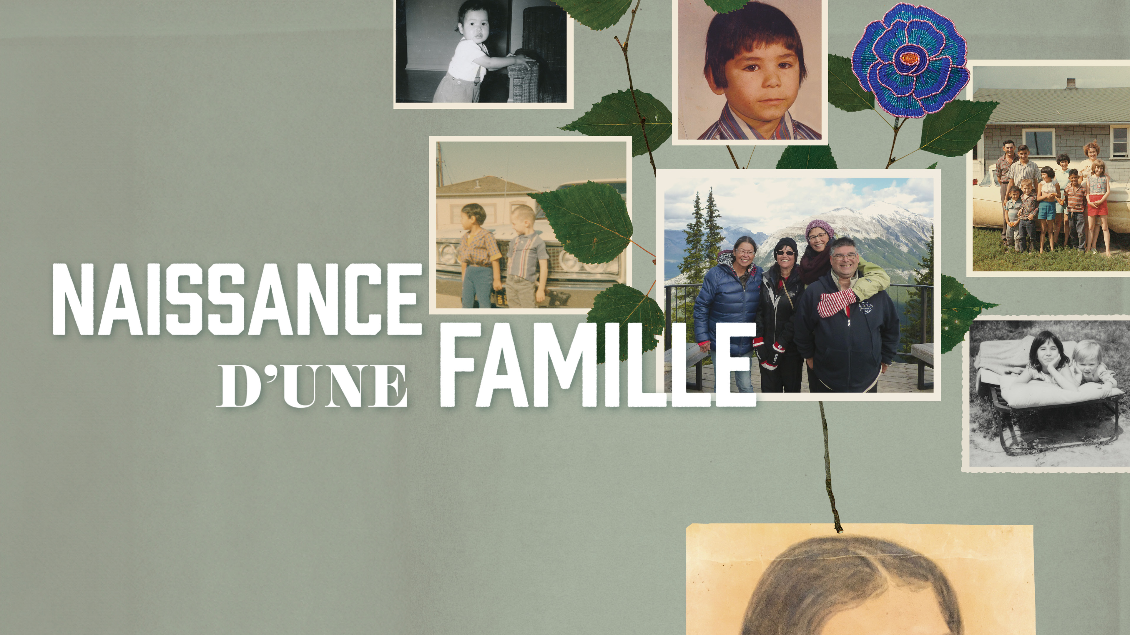 Image représentant la ressource: Naissance d'une famille