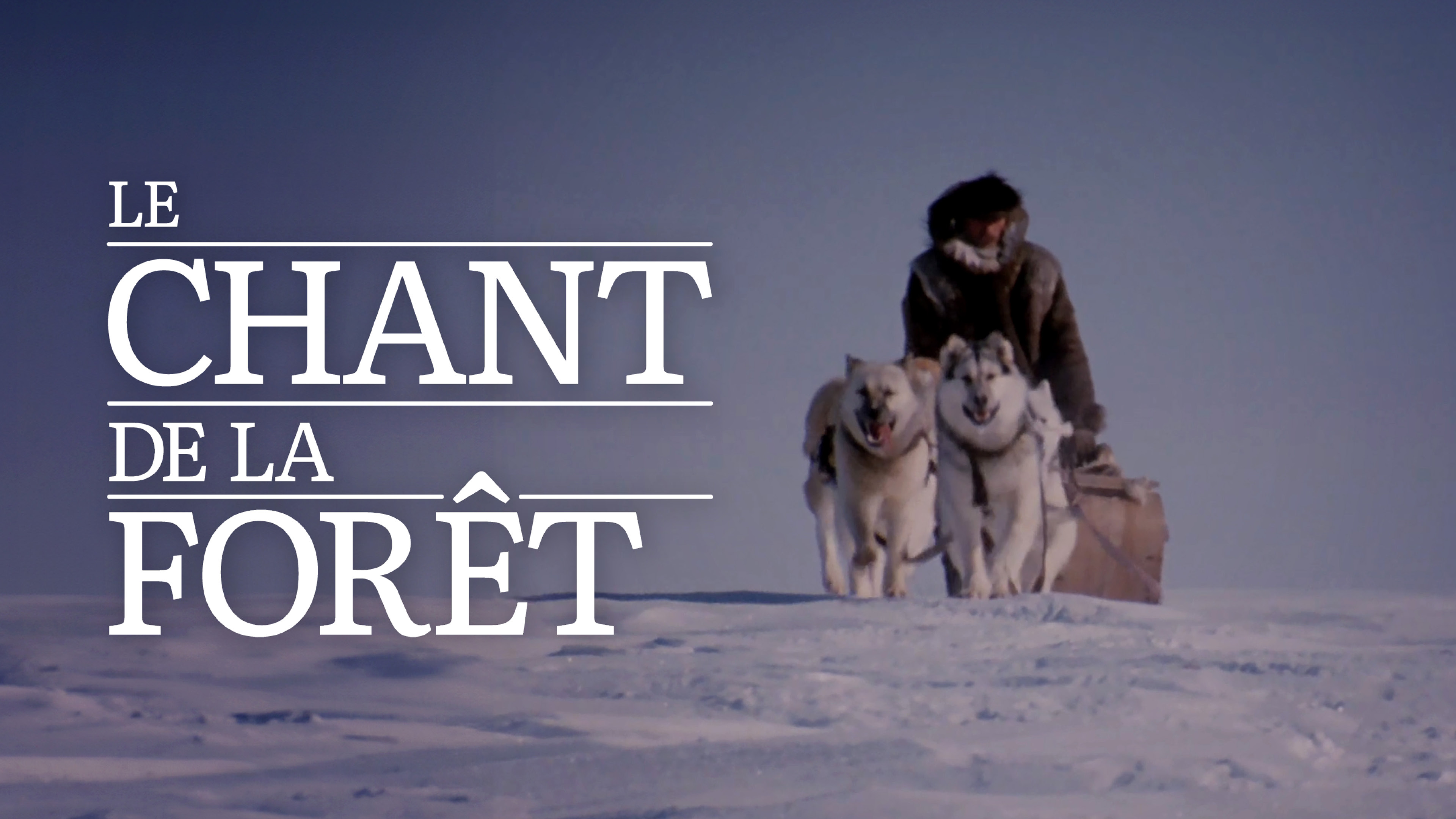 Image représentant la ressource: Le chant de la forêt