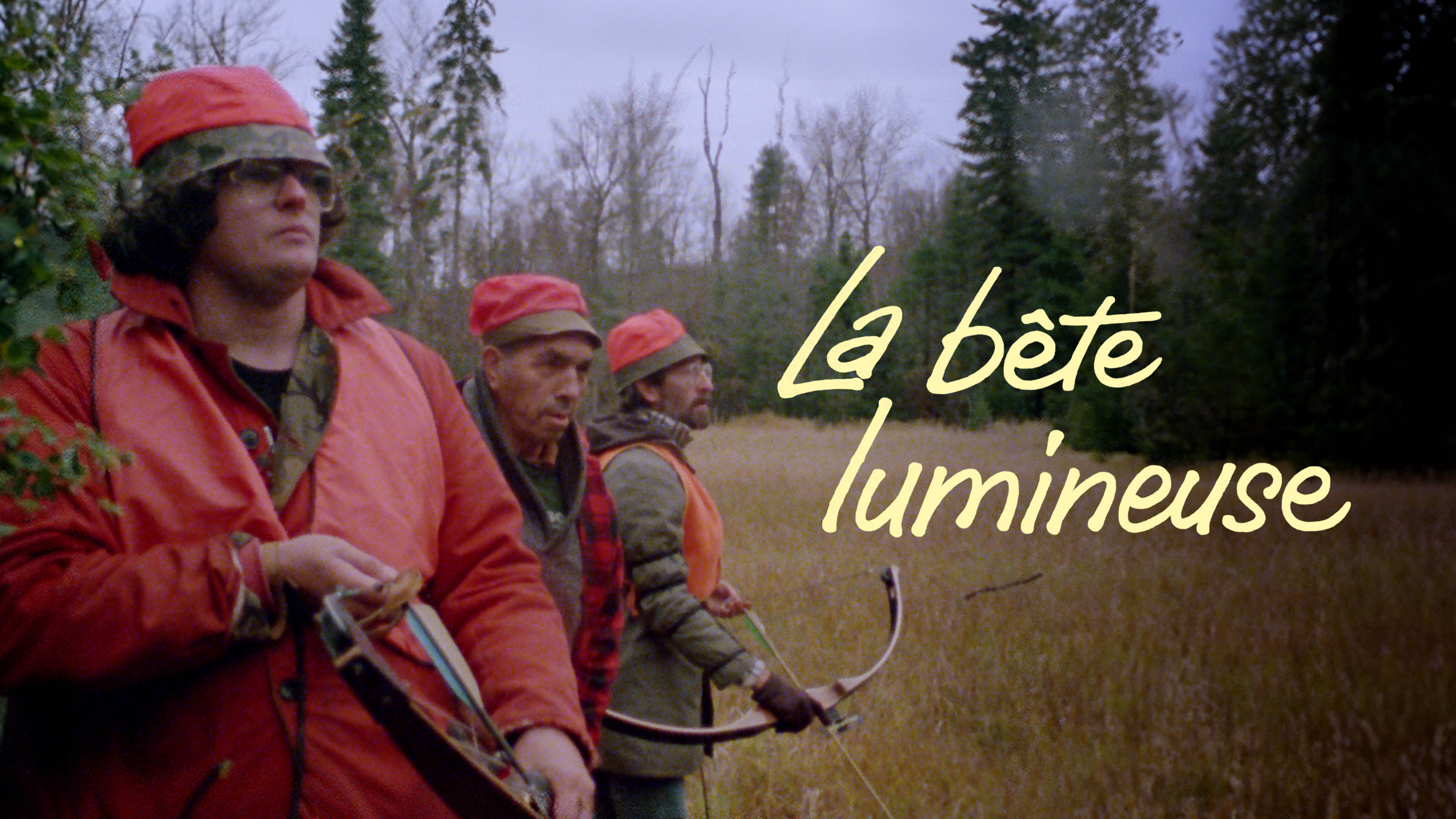Image représentant la ressource: La bête lumineuse