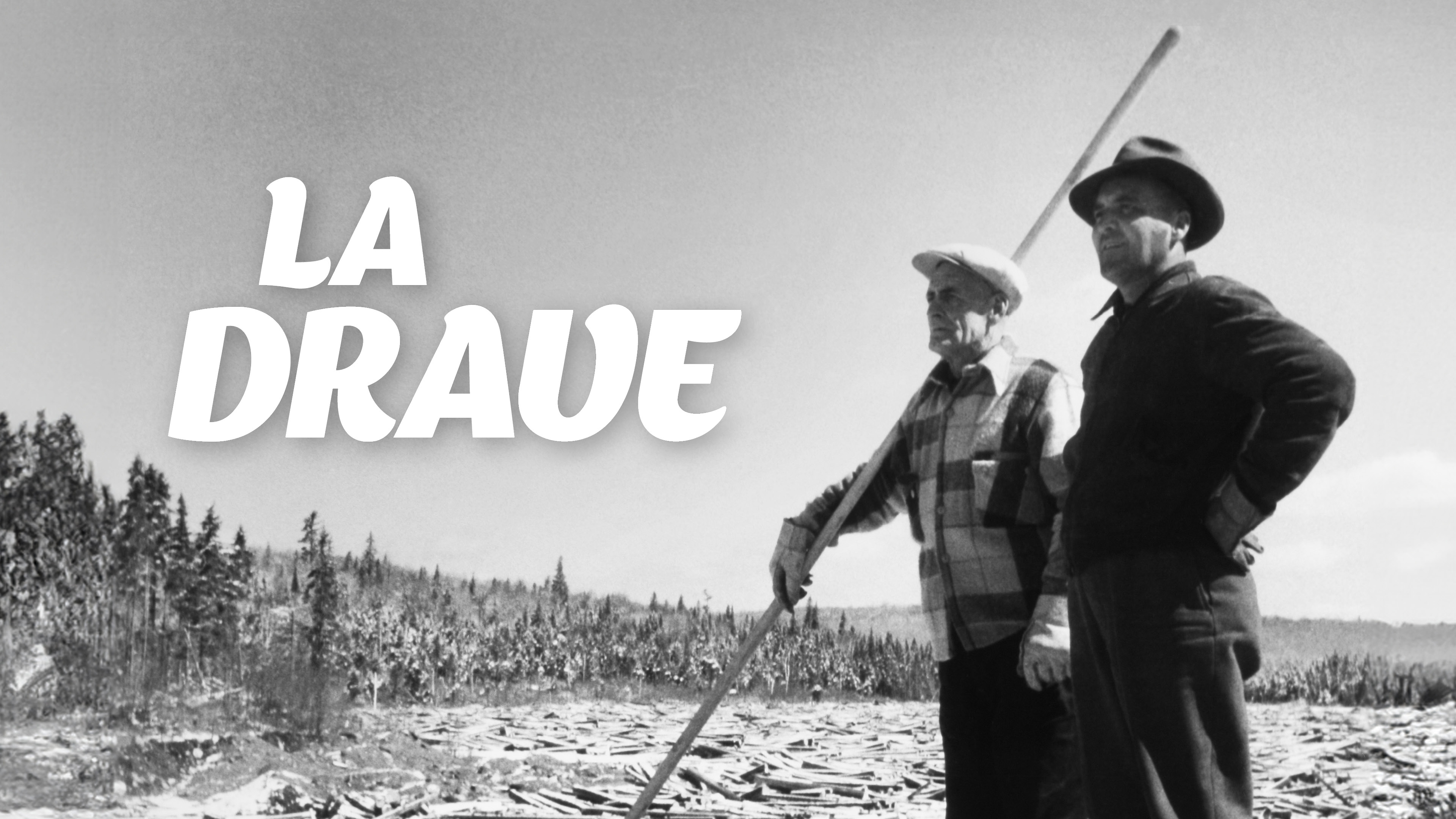 Image représentant la ressource: La drave