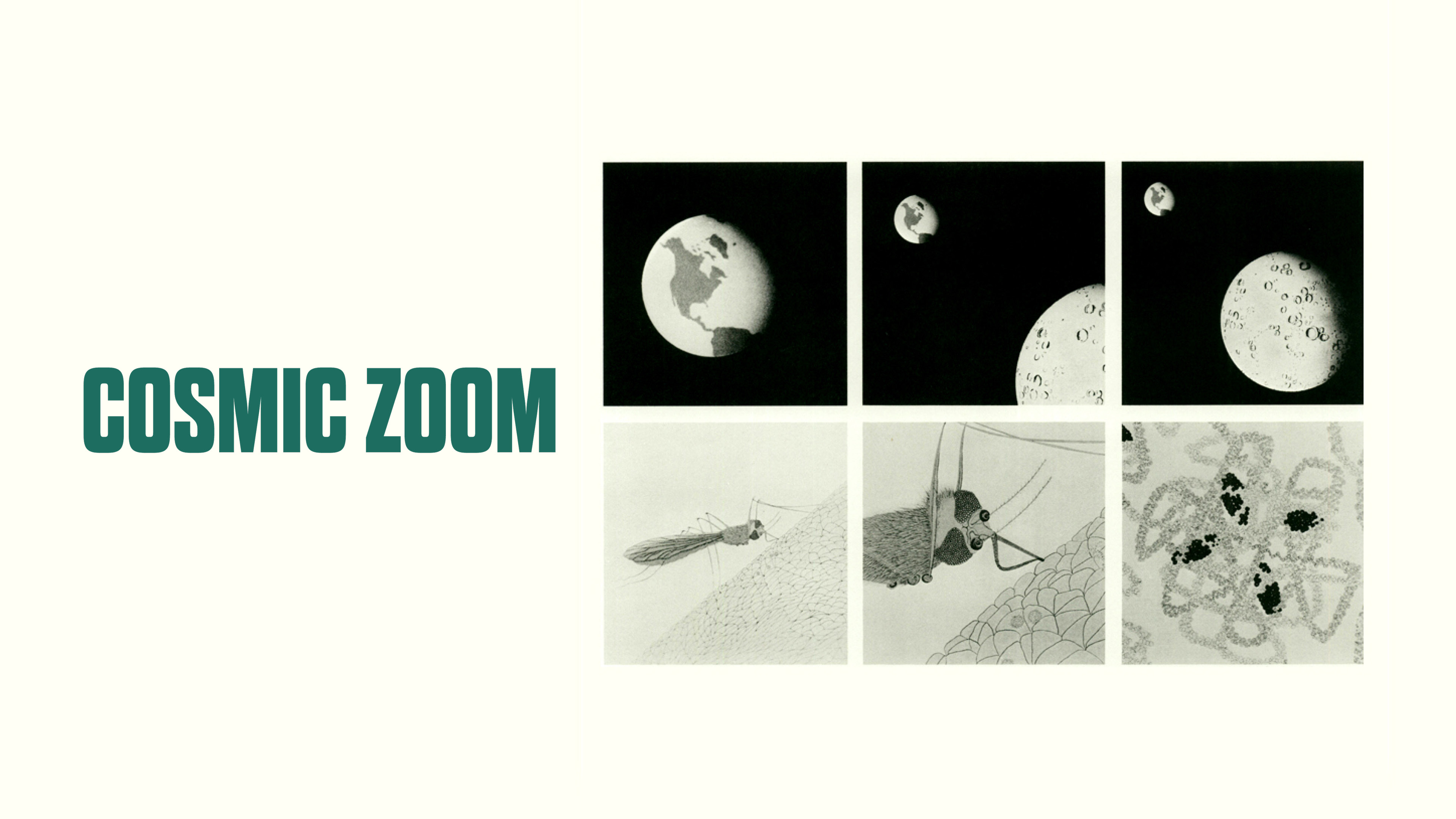 Image représentant la ressource: Cosmic Zoom